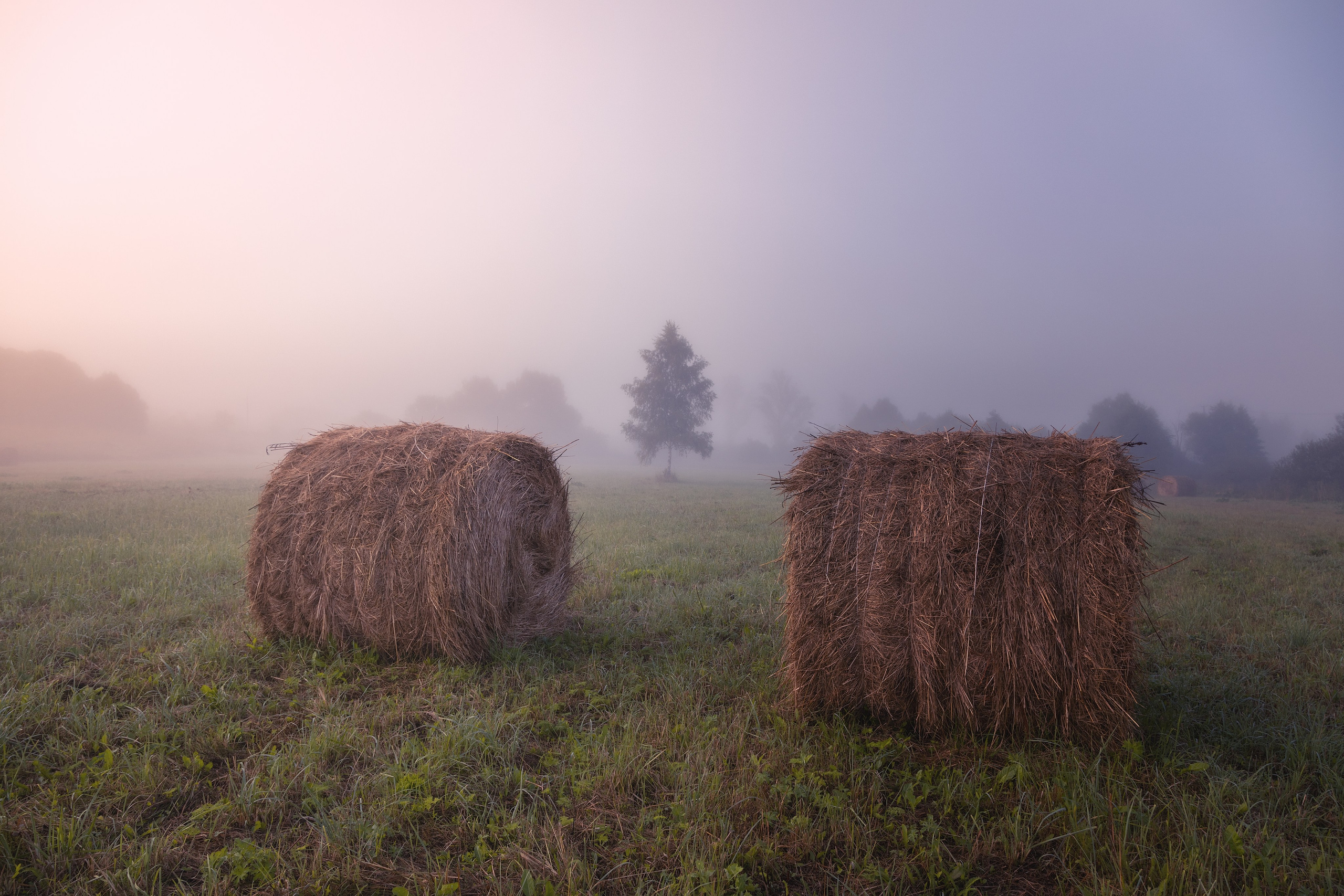 Катышки сена Воздремо. Николай Брытков — фотограф в Туле