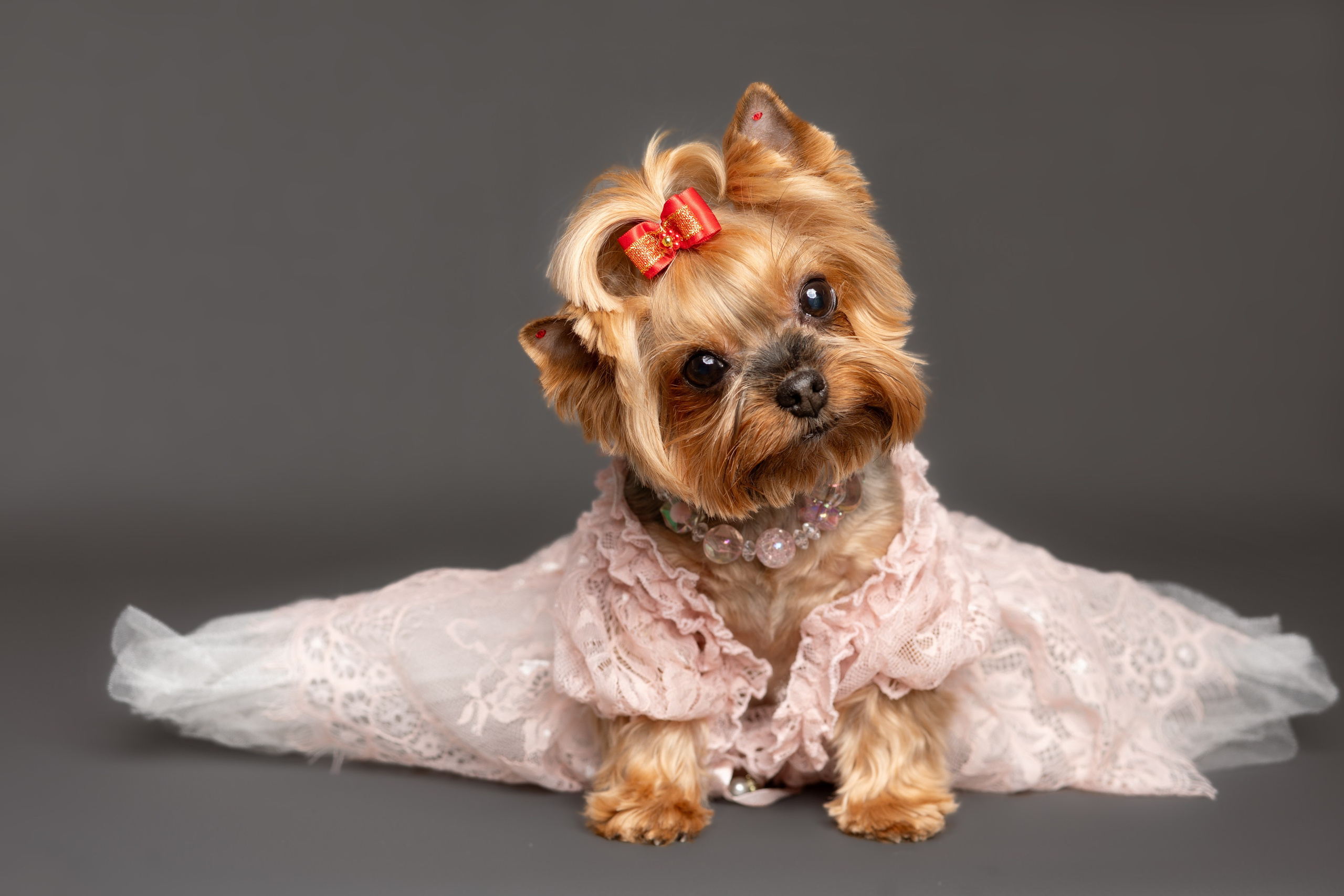 ФОТОСТУДИЯ