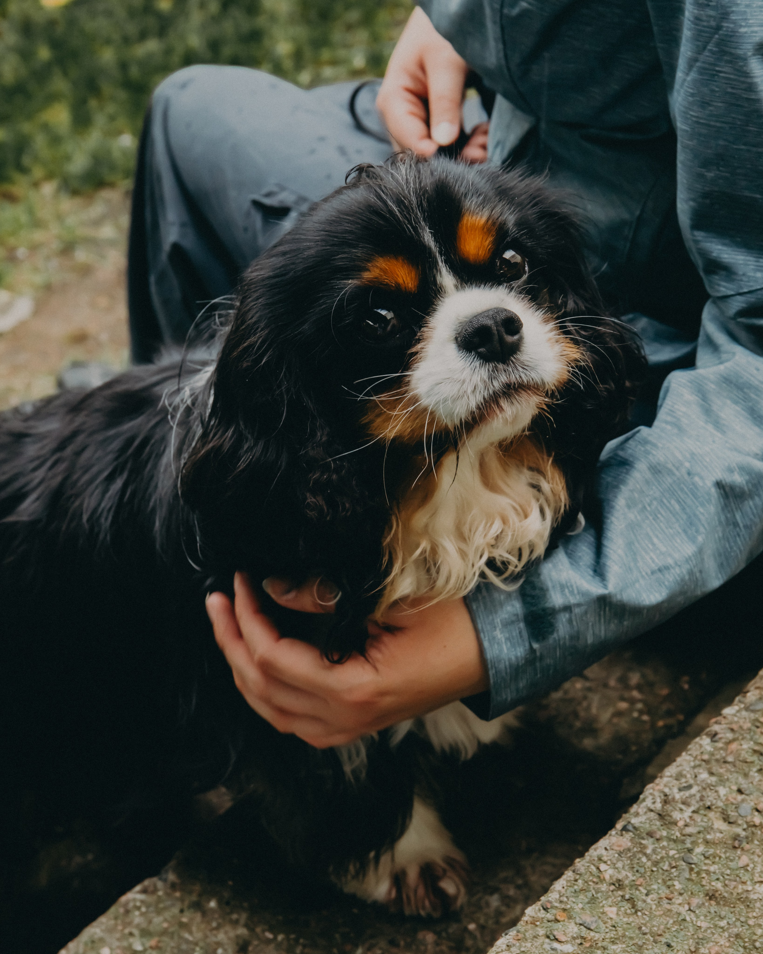 Гилдин. Портретный фотограф Ванинен Анастасия. Санкт-Петербург