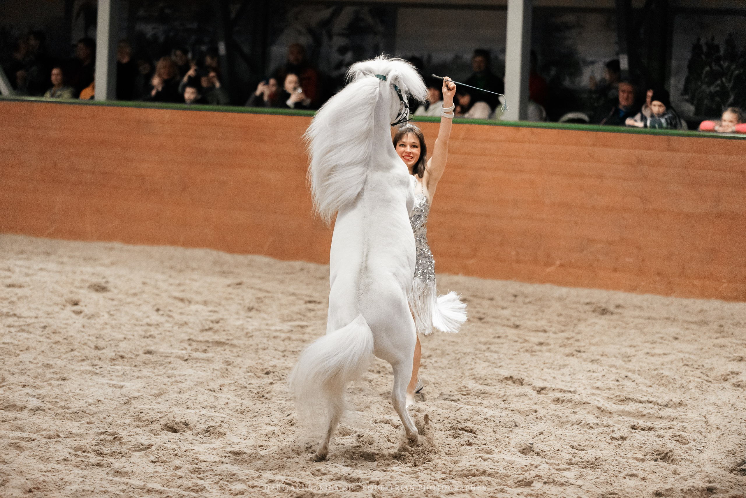 Конное представление «Дыхание Звёзд». Конный фотограф Куракина Дарья • Фотосессии с лошадьми