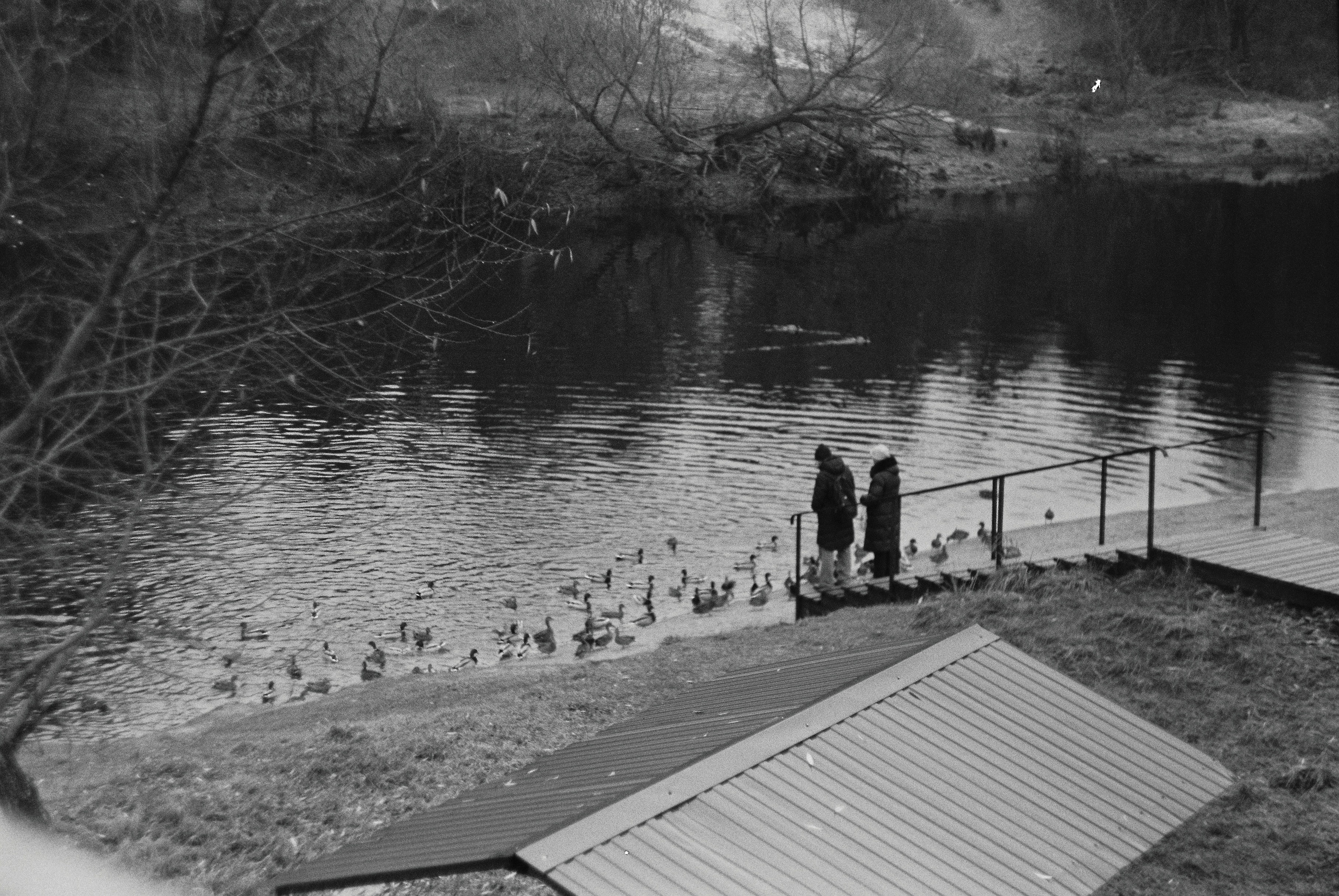 Зенит ЕТ с объективом Гелиос 44-М4 и черно-белой пленкой Ilford PAN 400 ISO