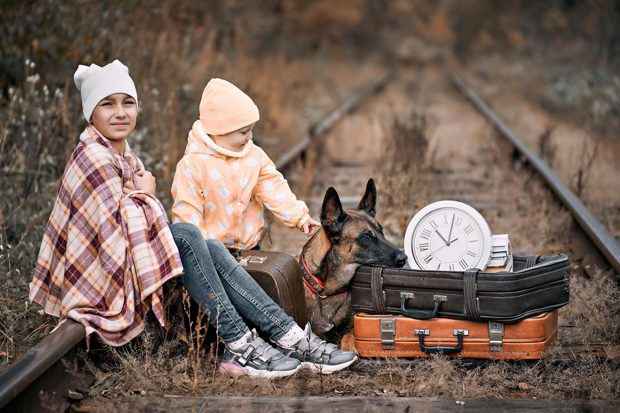 Осенний фотопроект «Странник». Фотограф Меняйло Евгений. Свадьба. Портрет. Репортаж. Семья. Контент