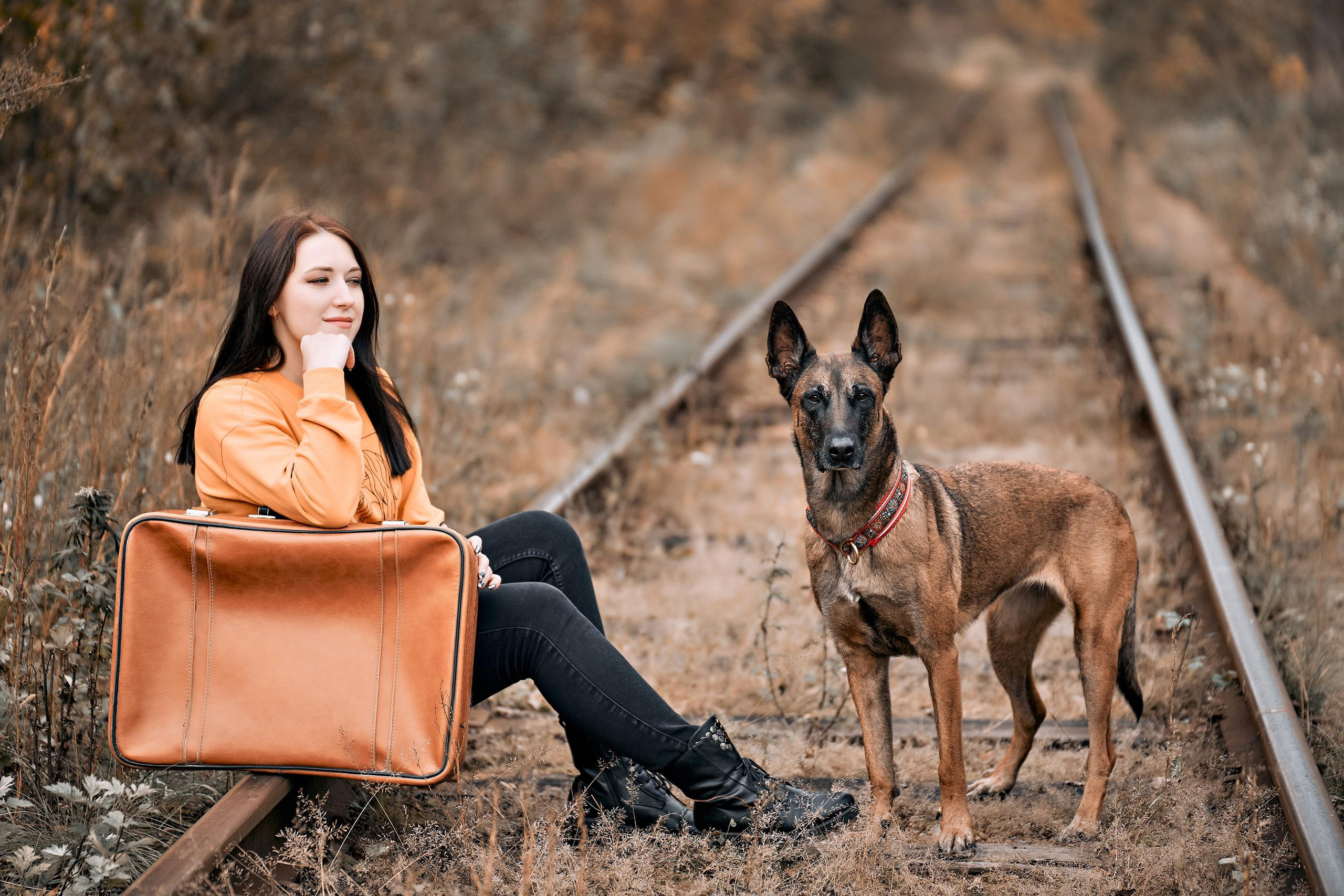 Осенний фотопроект «Странник». Фотограф Меняйло Евгений. Свадьба. Портрет. Репортаж. Семья. Контент