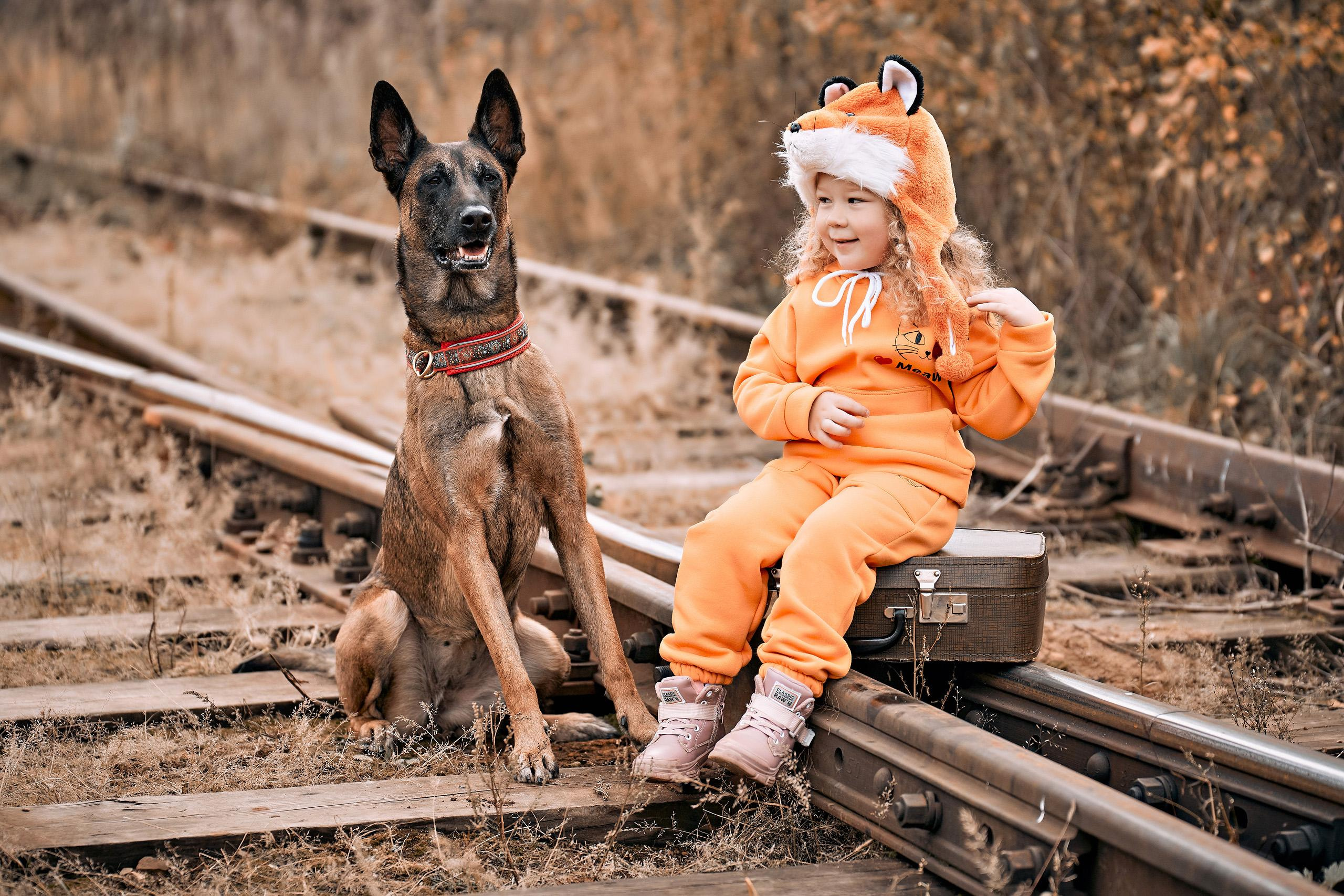 Осенний фотопроект «Странник». Фотограф Меняйло Евгений. Свадьба. Портрет. Репортаж. Семья. Контент