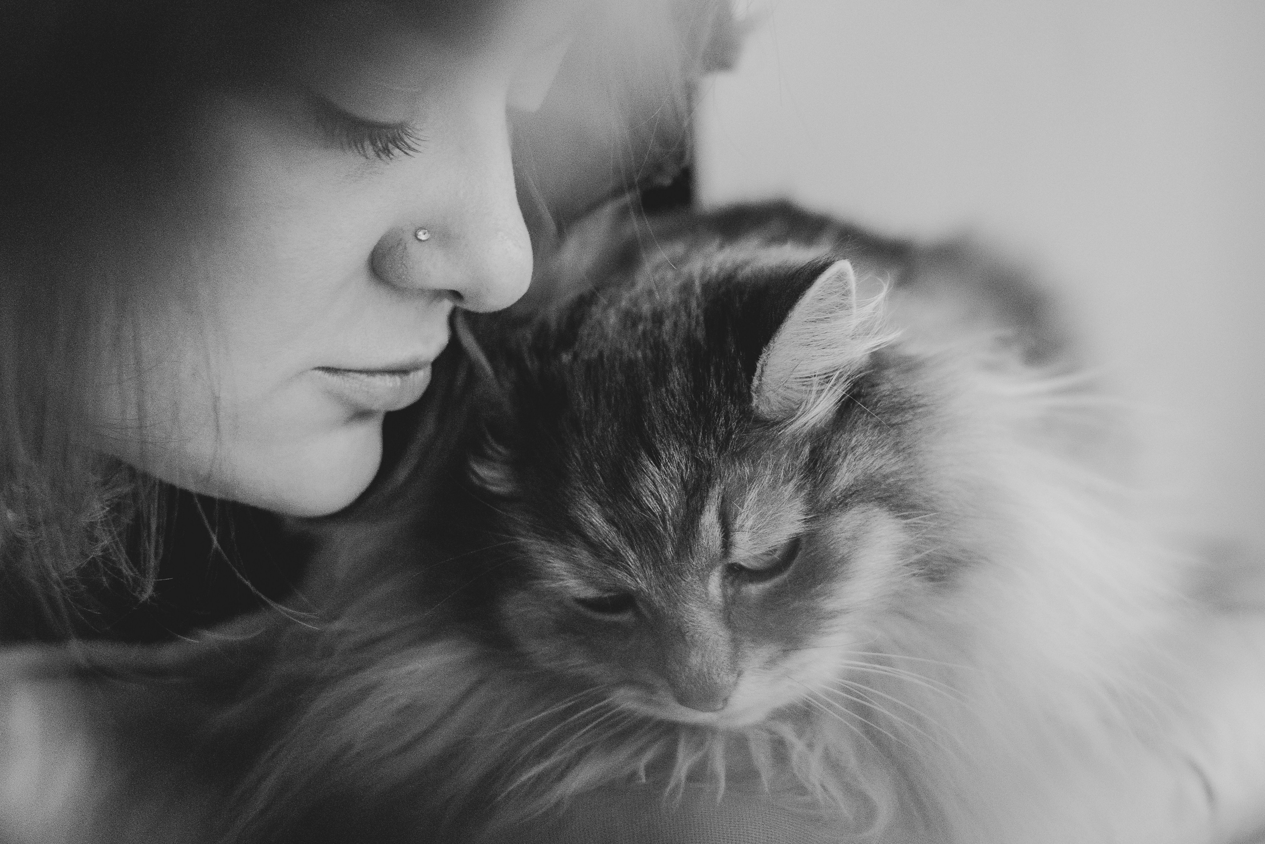 Natalia Finch Photography — Family, Kids & Pet Photographer in Chicago, IL