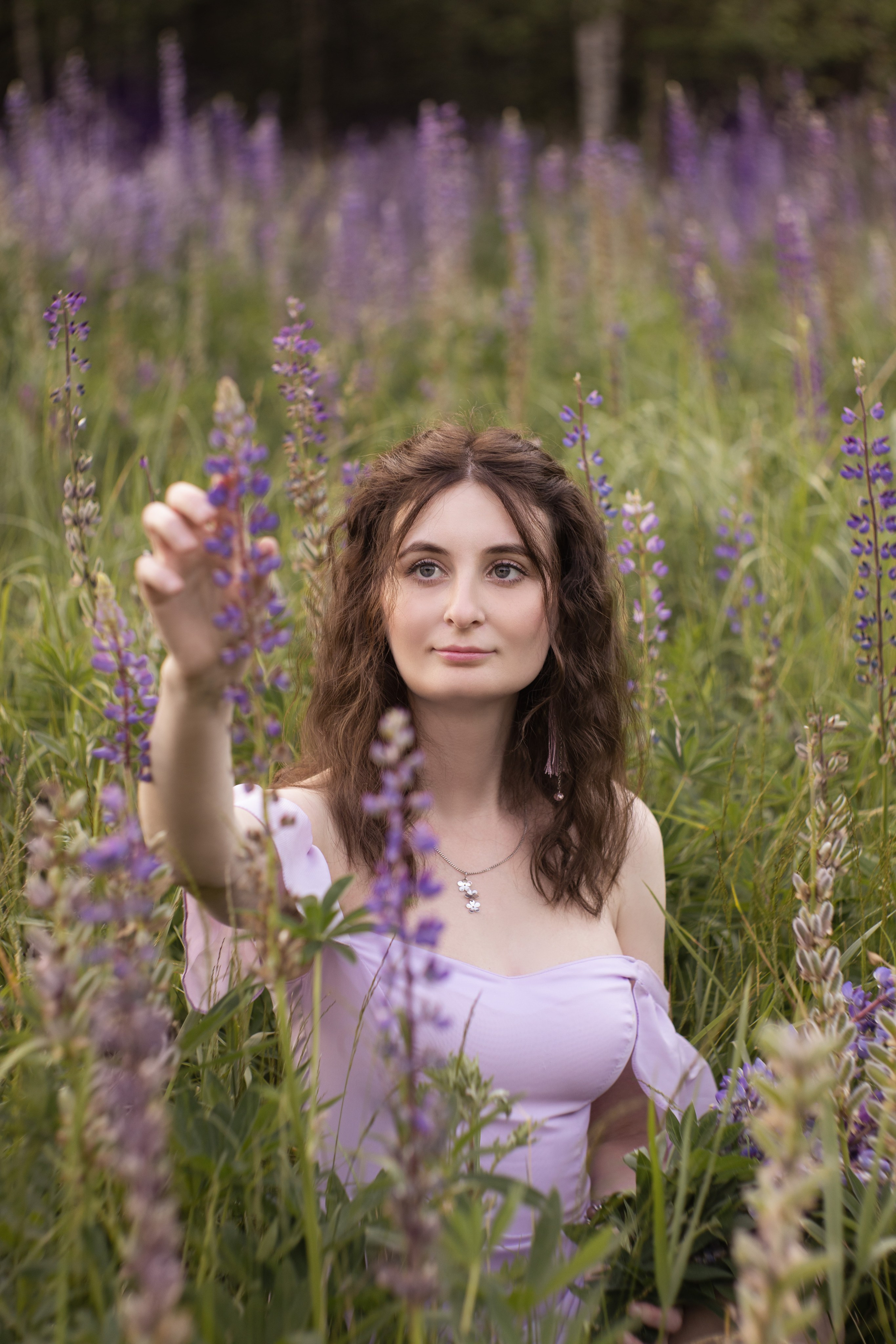 Люпиновое поле. Юлия Башкатова, сказочный фотограф, Москва