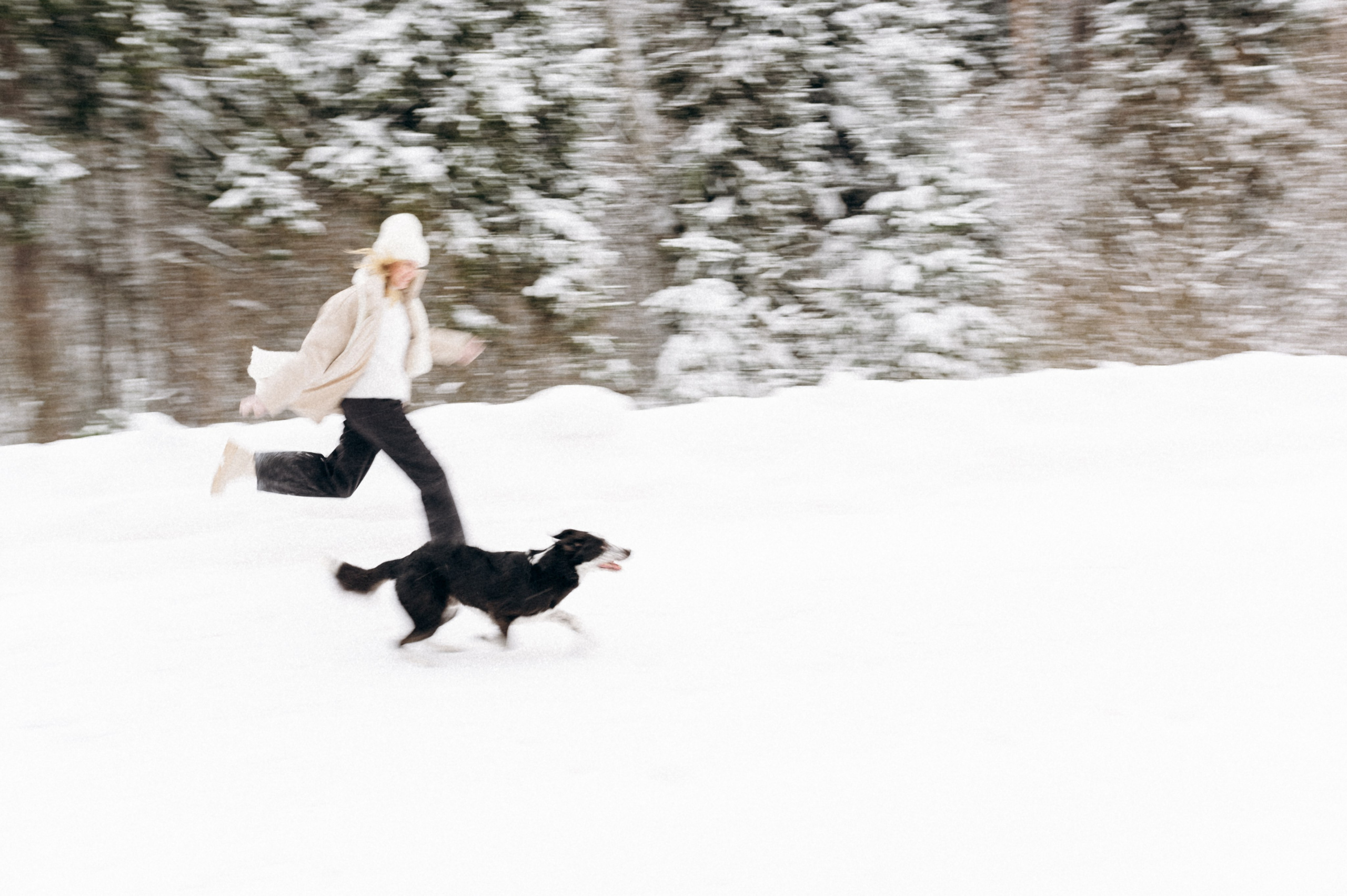 Аня и Милан. Фотограф анималист в Москве Ольга Агушева