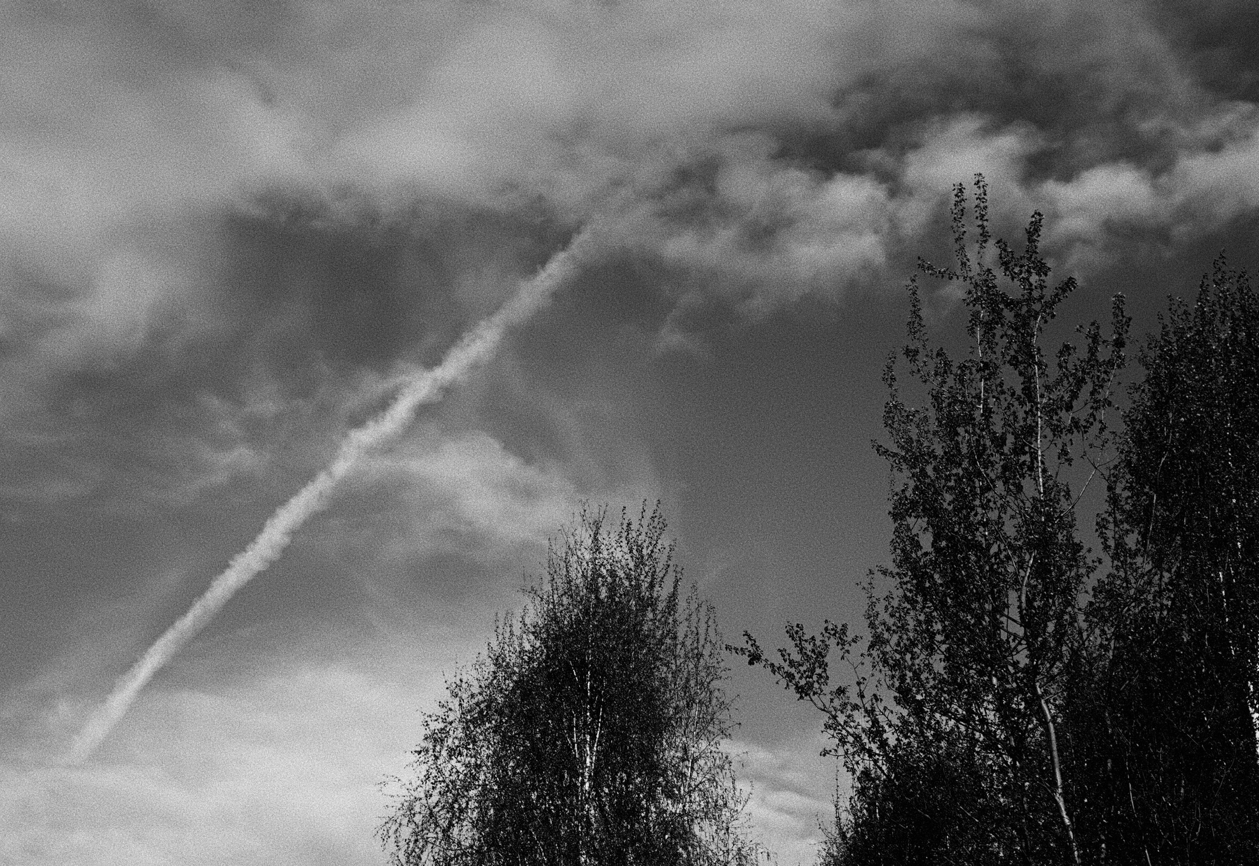NATURE. Репортажный и уличный фотограф в Щёлково Александра Пименова