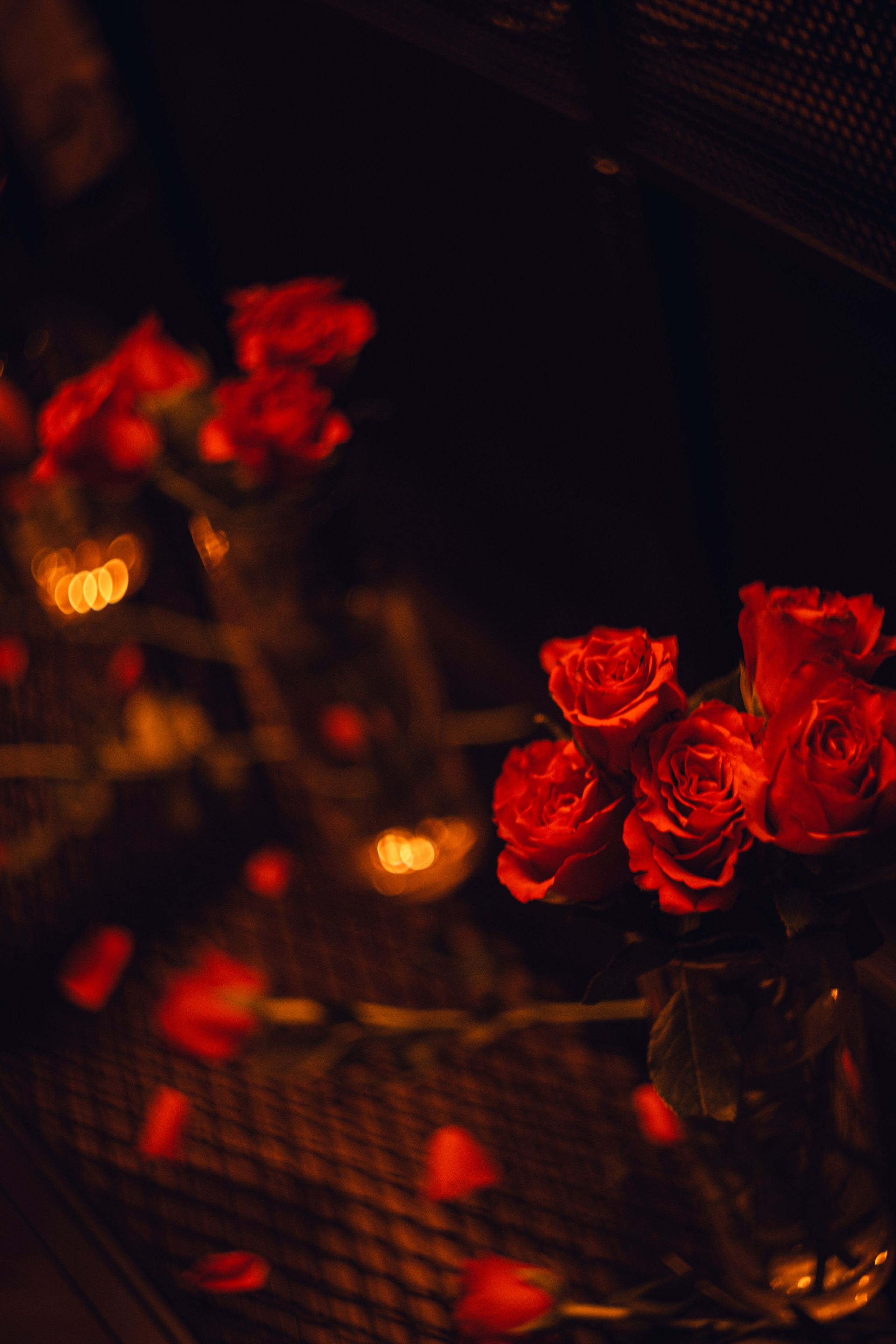 Мероприятия. Фотограф Егор Огородов