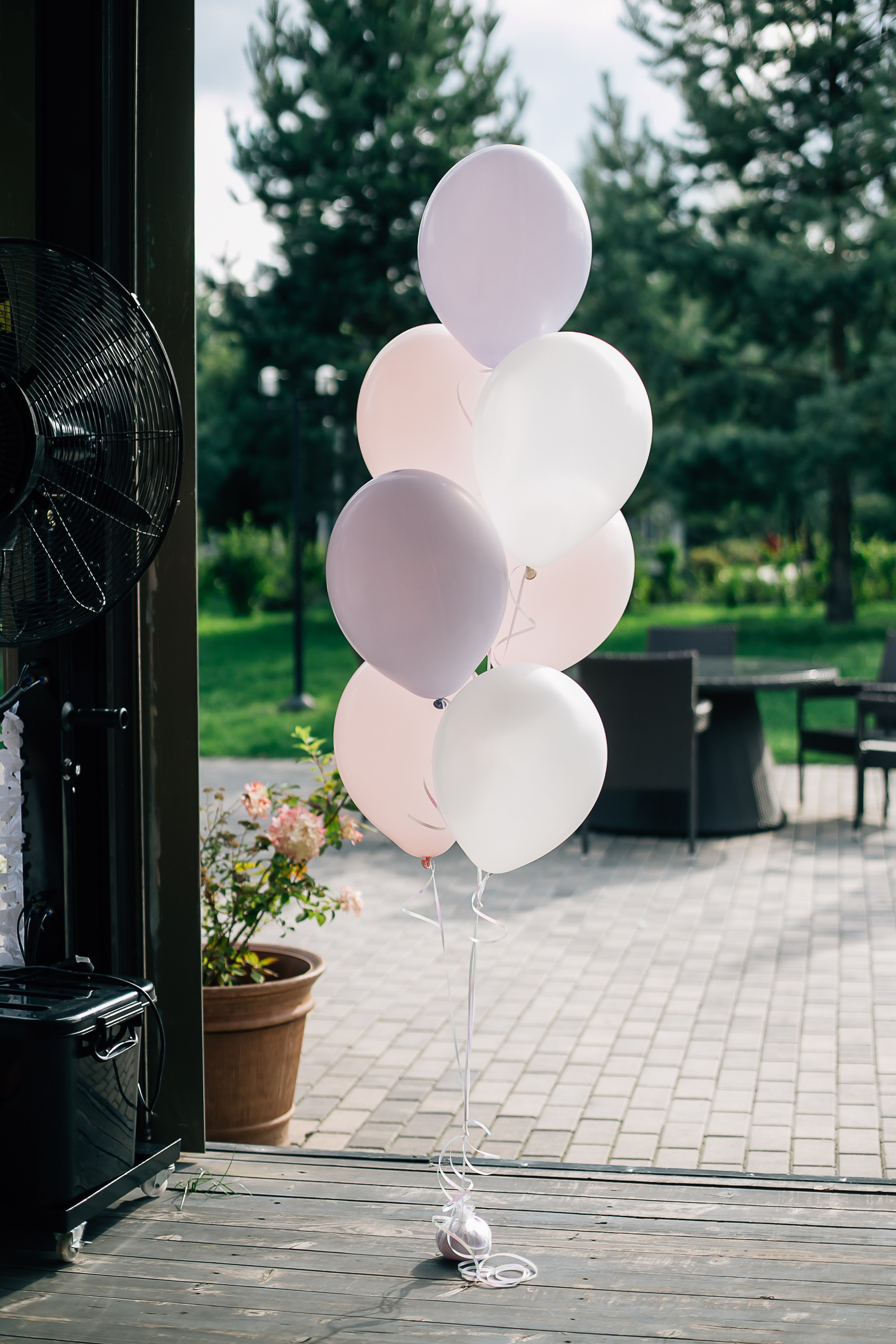 Алексе 5 лет. Главная