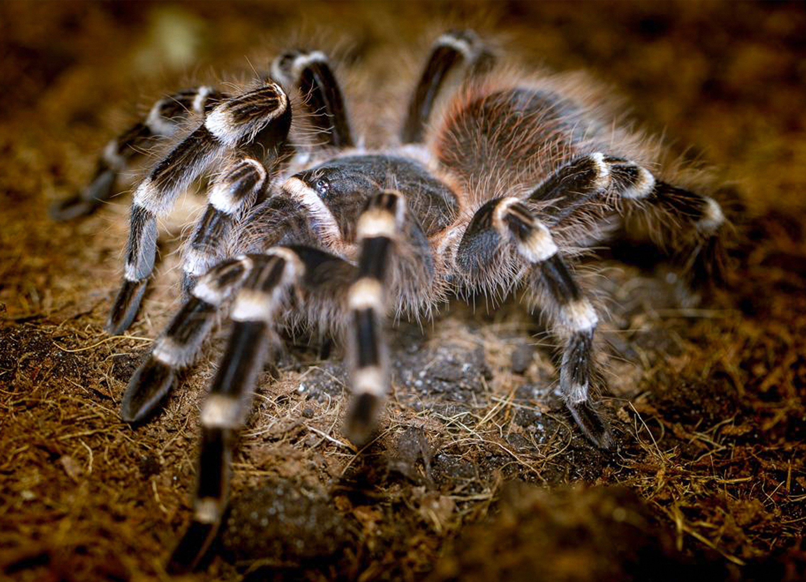 Красота вокруг нас. Медиапродюсер, фотограф в Минеральных Водах —Виктор Холодов