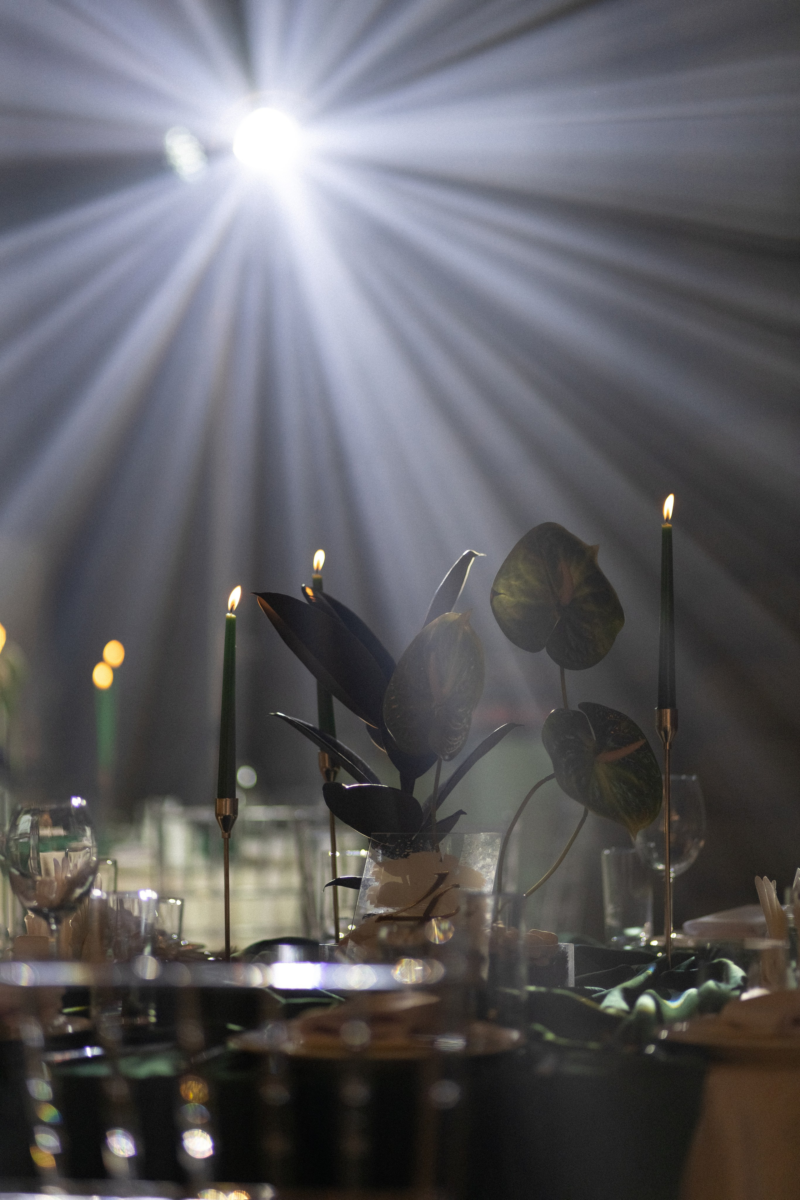 Фотограф Астана. Индивидуальные, парные и семейные фотосессии