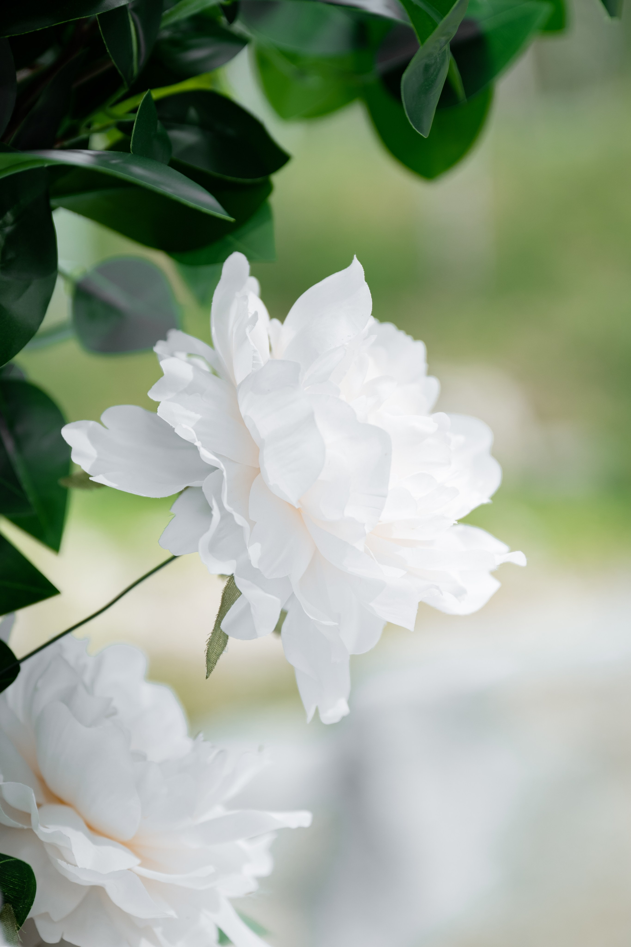 Анастасия & Сергей. Свадебный и семейный фотограф Тюмень Екатеринбург Москвина Алёна