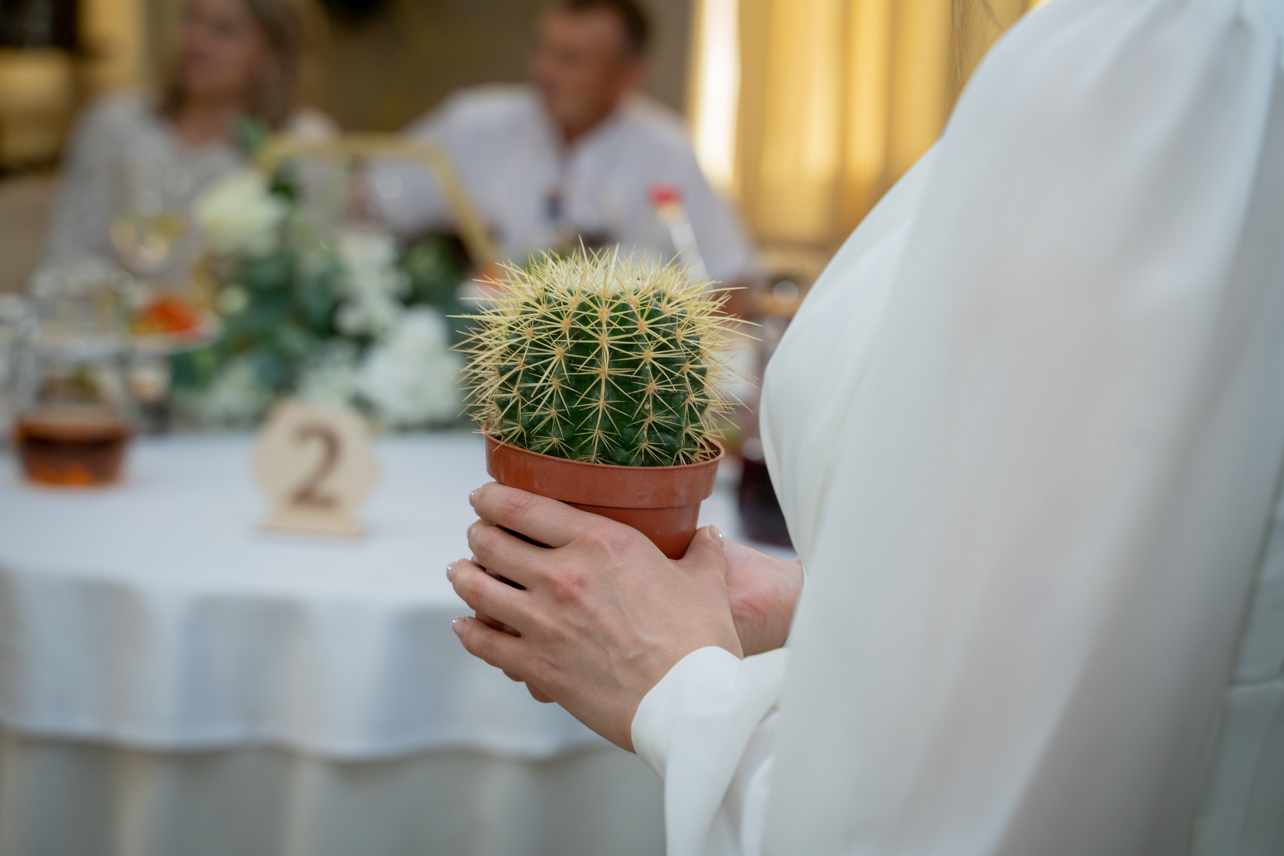 Екатерина & Артём 11.07.2024. Главная