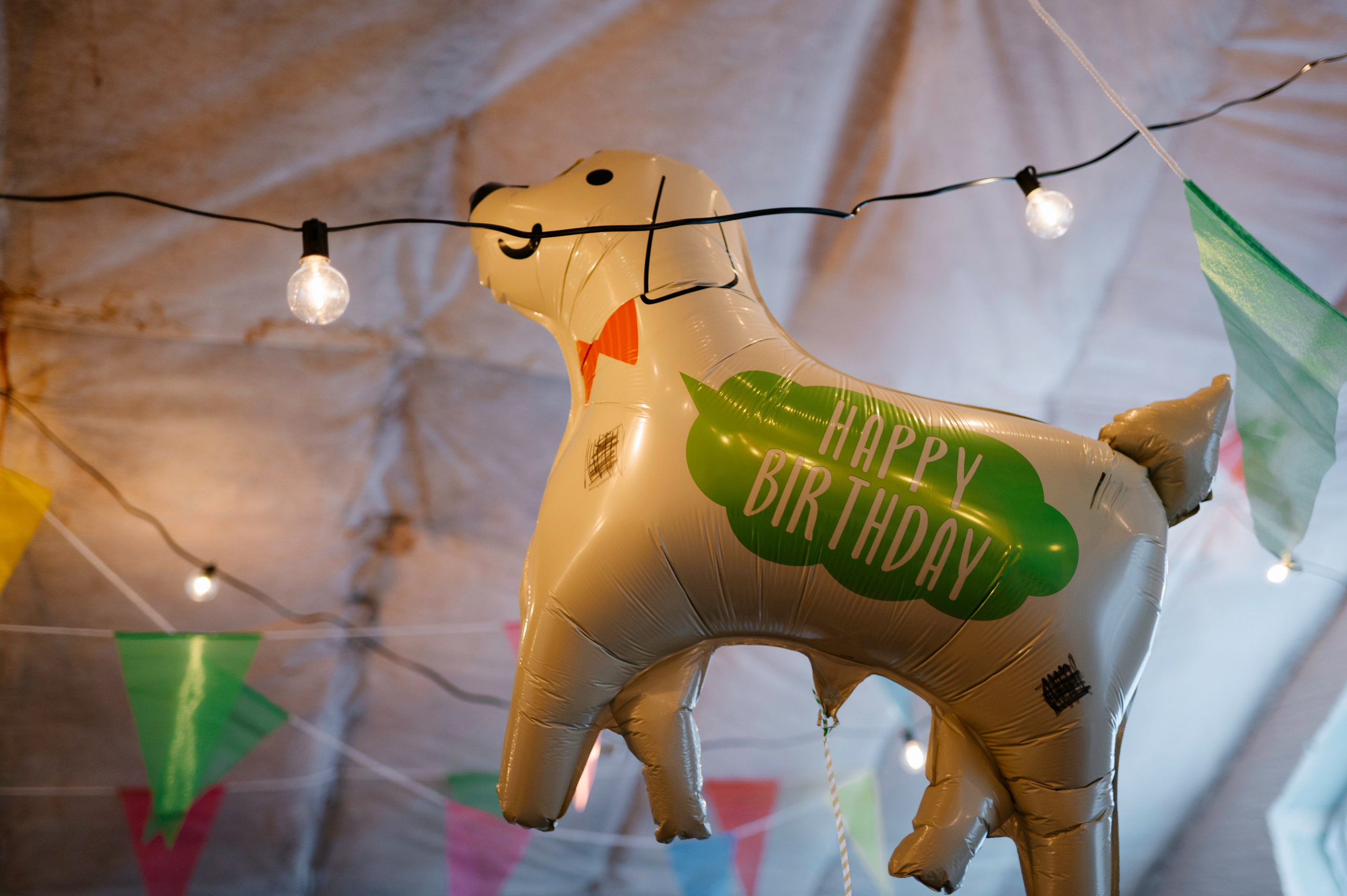 Детские праздники. Фотограф Тверь