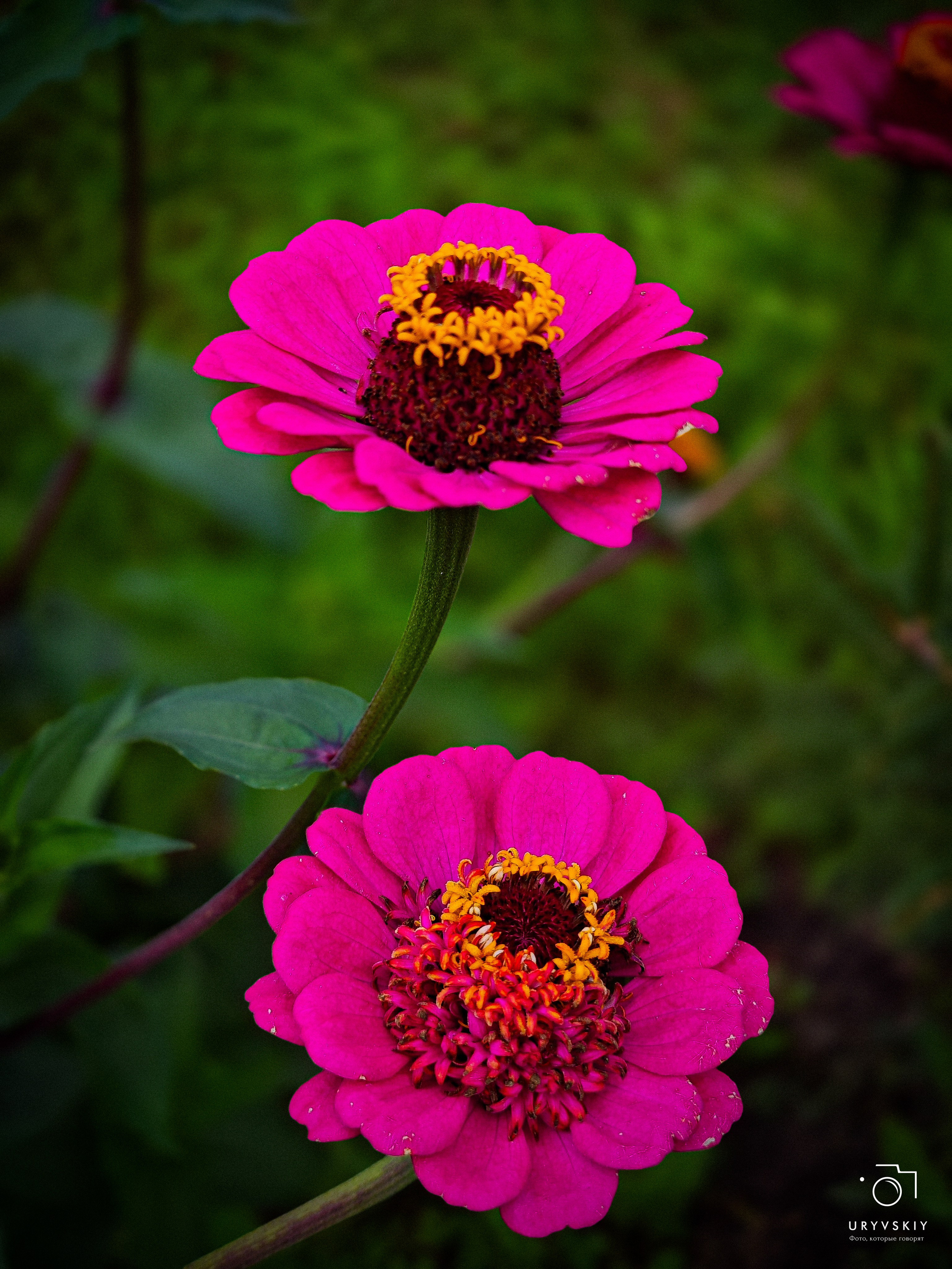 Арт пространство «Хлебзавод». Игорь Урывский. Фотограф Красноярск