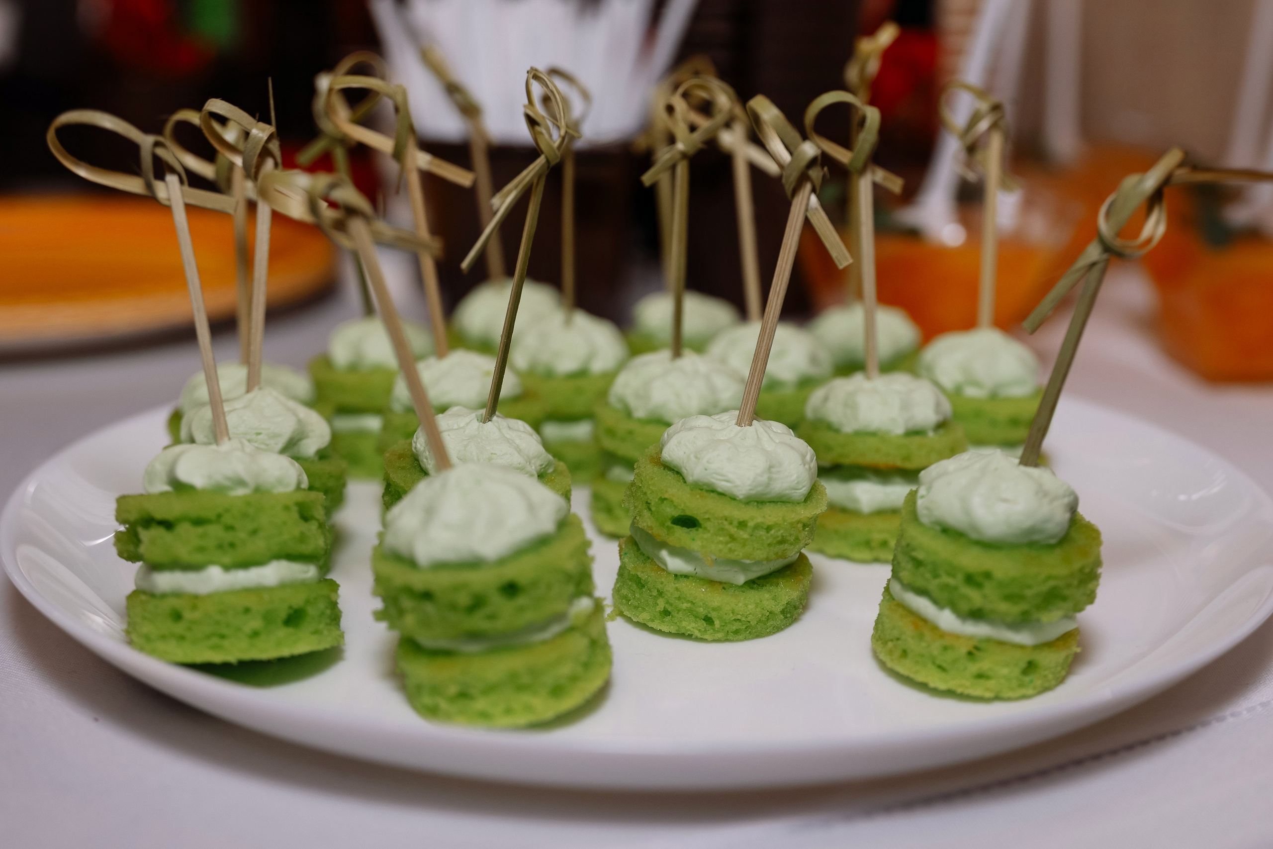 Презентация Семейного квартала Оптимисты. Фотограф Юлия Мальцева