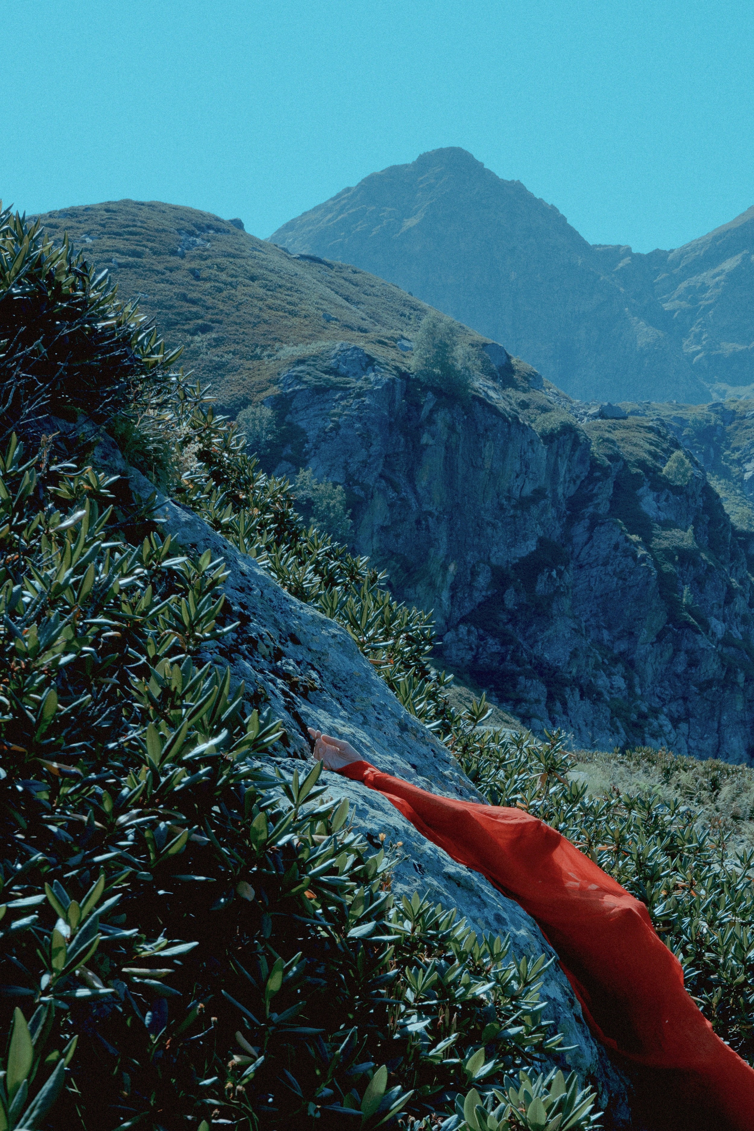 Вне серий. Художественная фотография в Санкт-Петербурге Алина Берёзкина