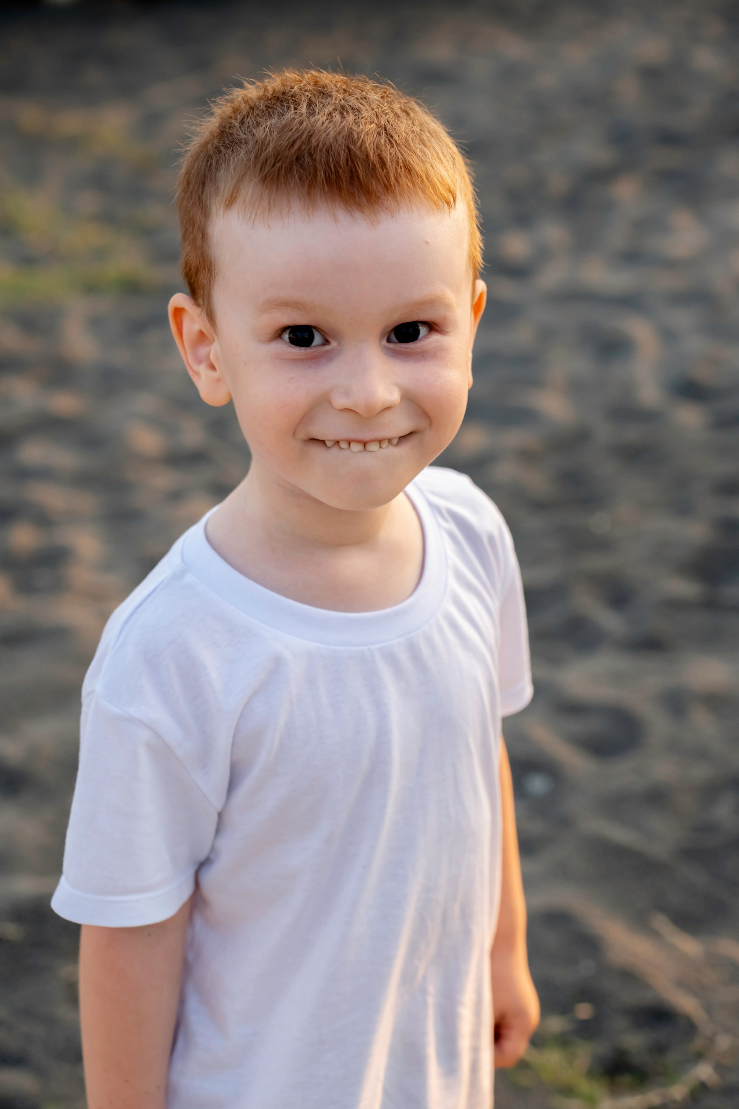 Солнечные лучики. Фотограф Ирина Ликсунова