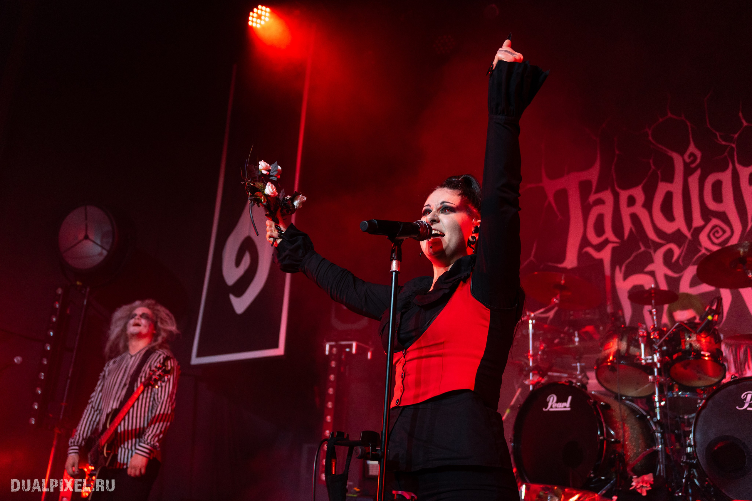 TARDIGRADE INFERNO. Магия музыки в кадре: Концертная Фотография