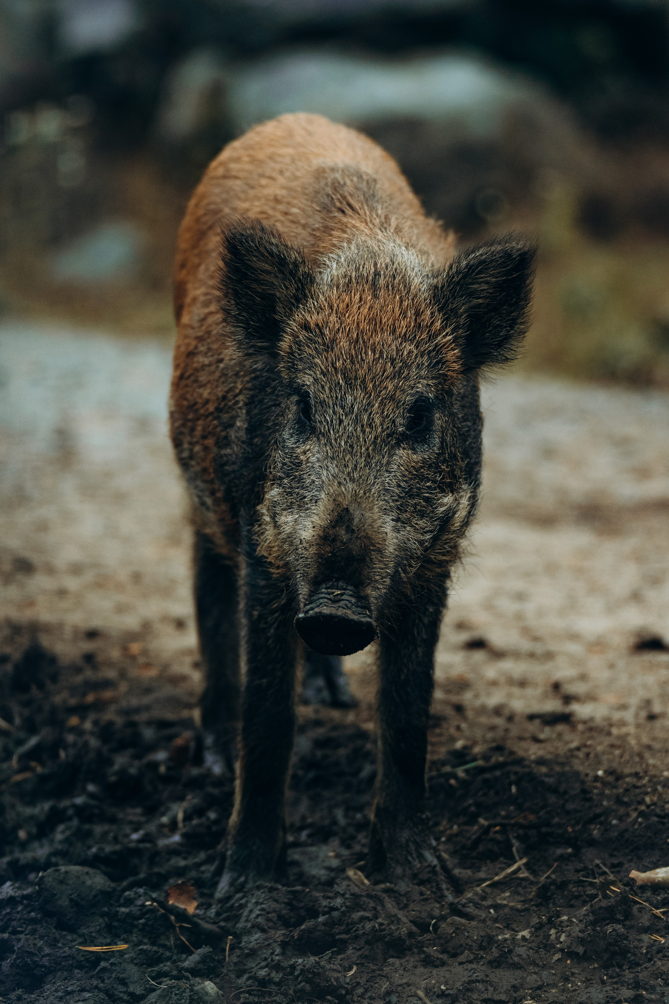 СЕВЕР. Event фотограф Степанова Александра