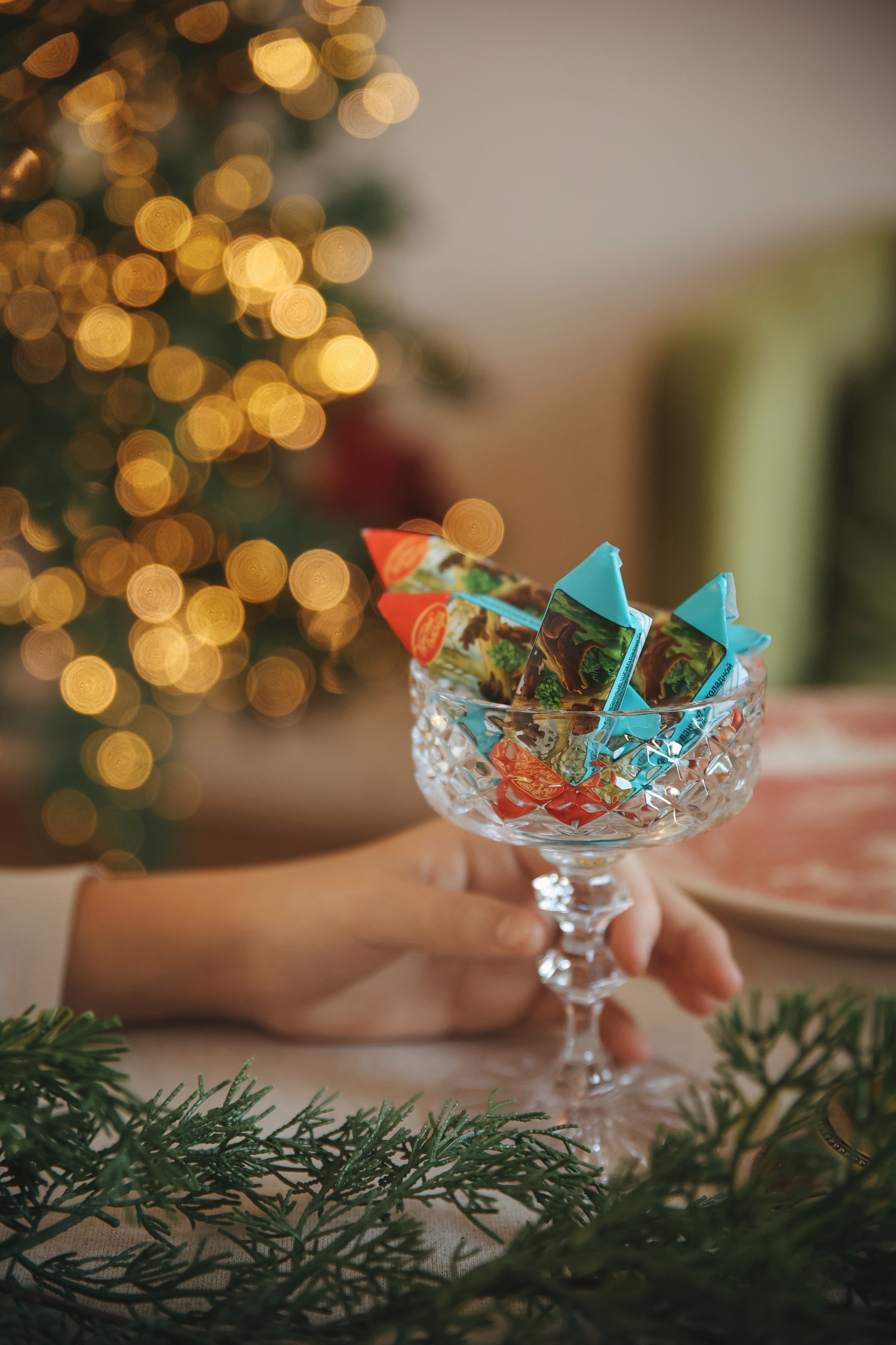 Новогодняя фотосессия во Владимире съемка на новый год фотосессия в студии фотограф во Владимире фотограф в Москве корги. Фотограф Владимир Москва