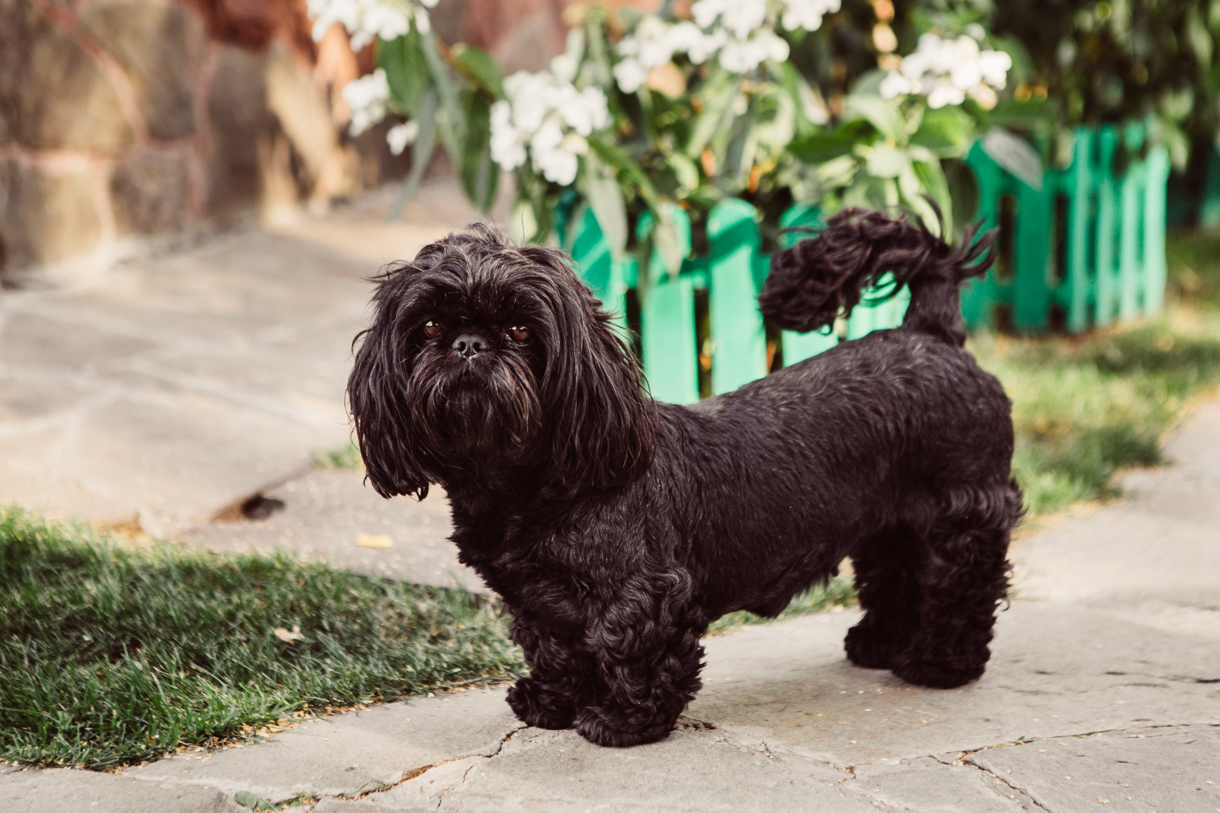 Августине 3 годика. Главная
