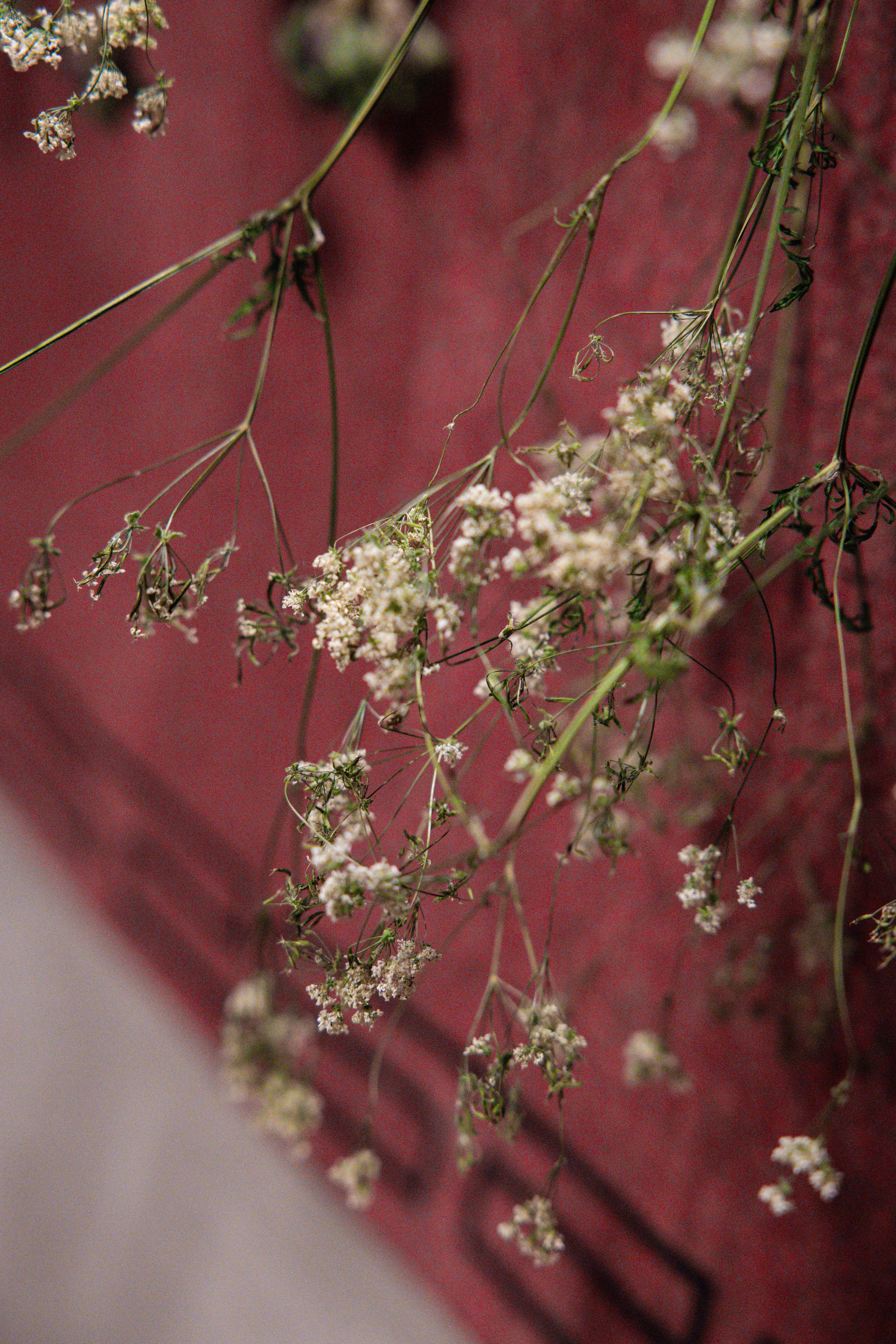 Сказка (короткометражный филь) день второй. Фотограф/видеограф в Санкт-Петербурге Динара Гольдина