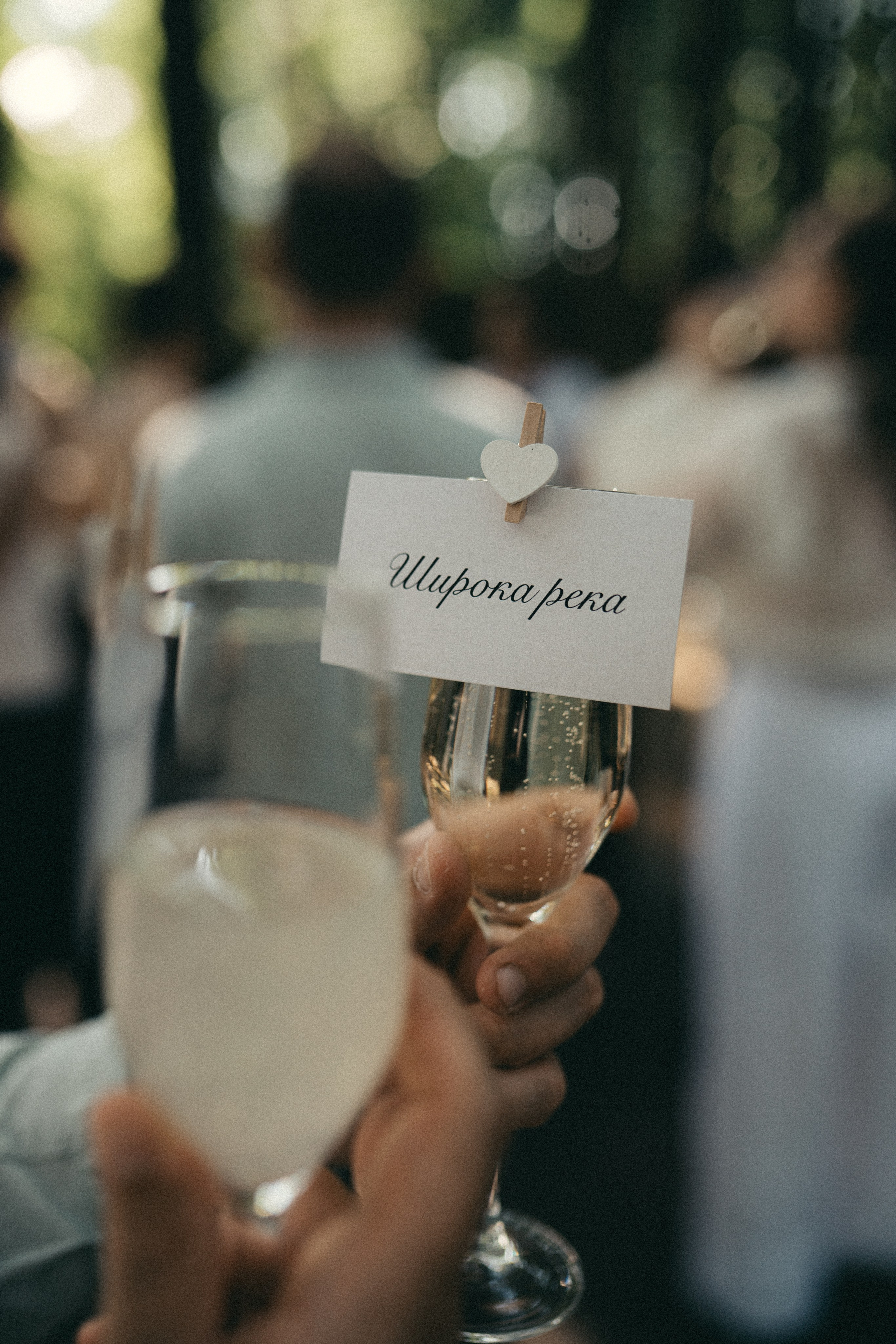 Дворец бракосочетания № 2. D&A. Свадебный фотограф в г. Москва, МО Гороза Алена