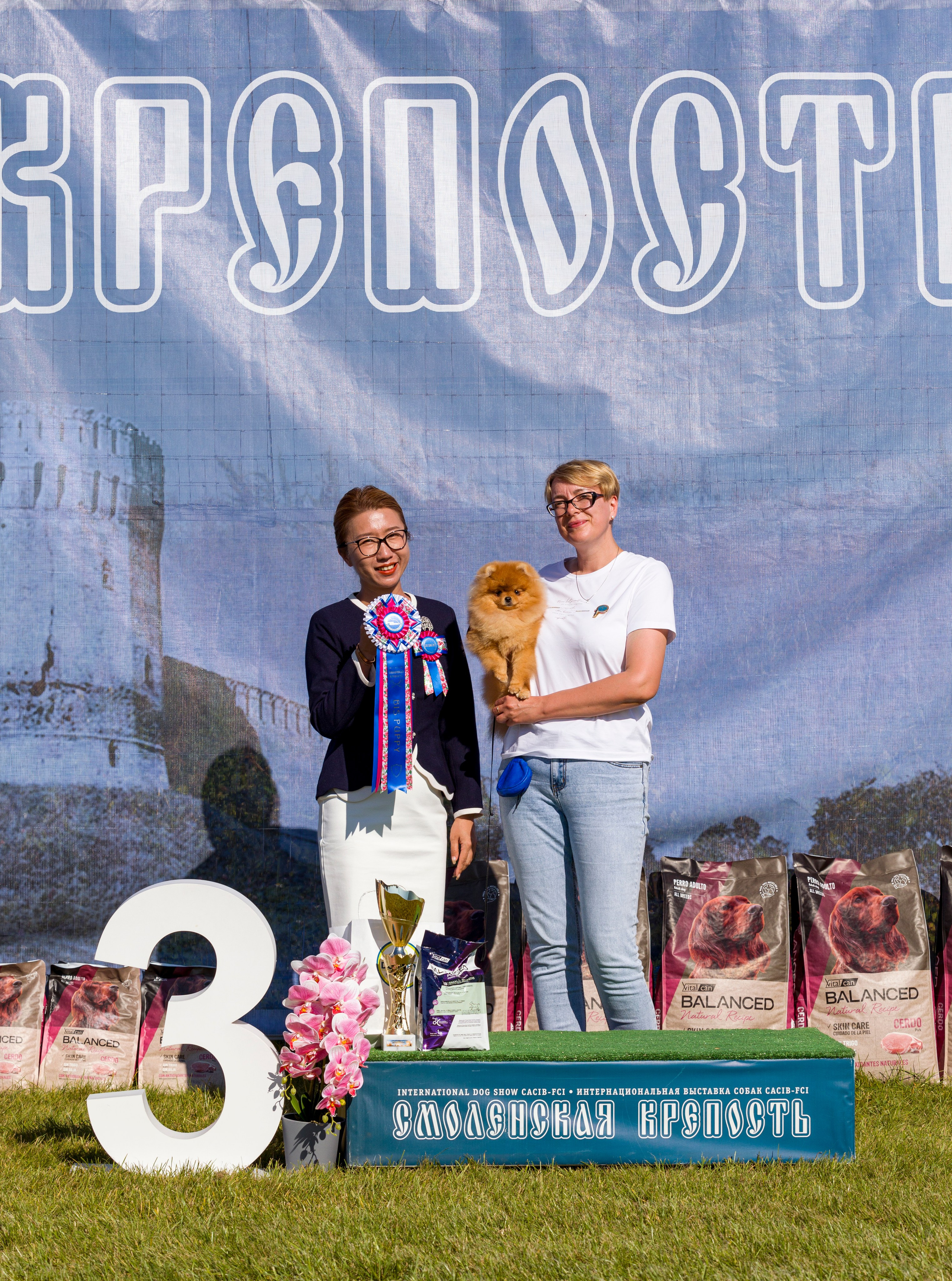 Выставки. Фотограф — анималист Татьяна Ли