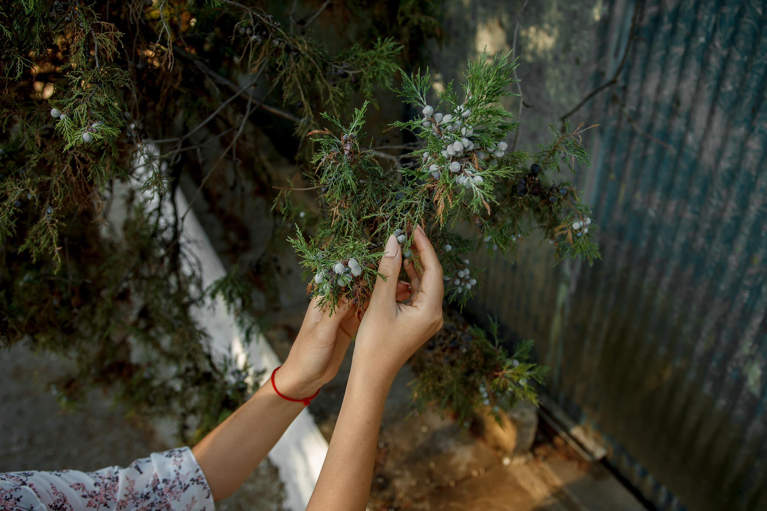 Diana. Фотограф в Батуми Павел Шарников