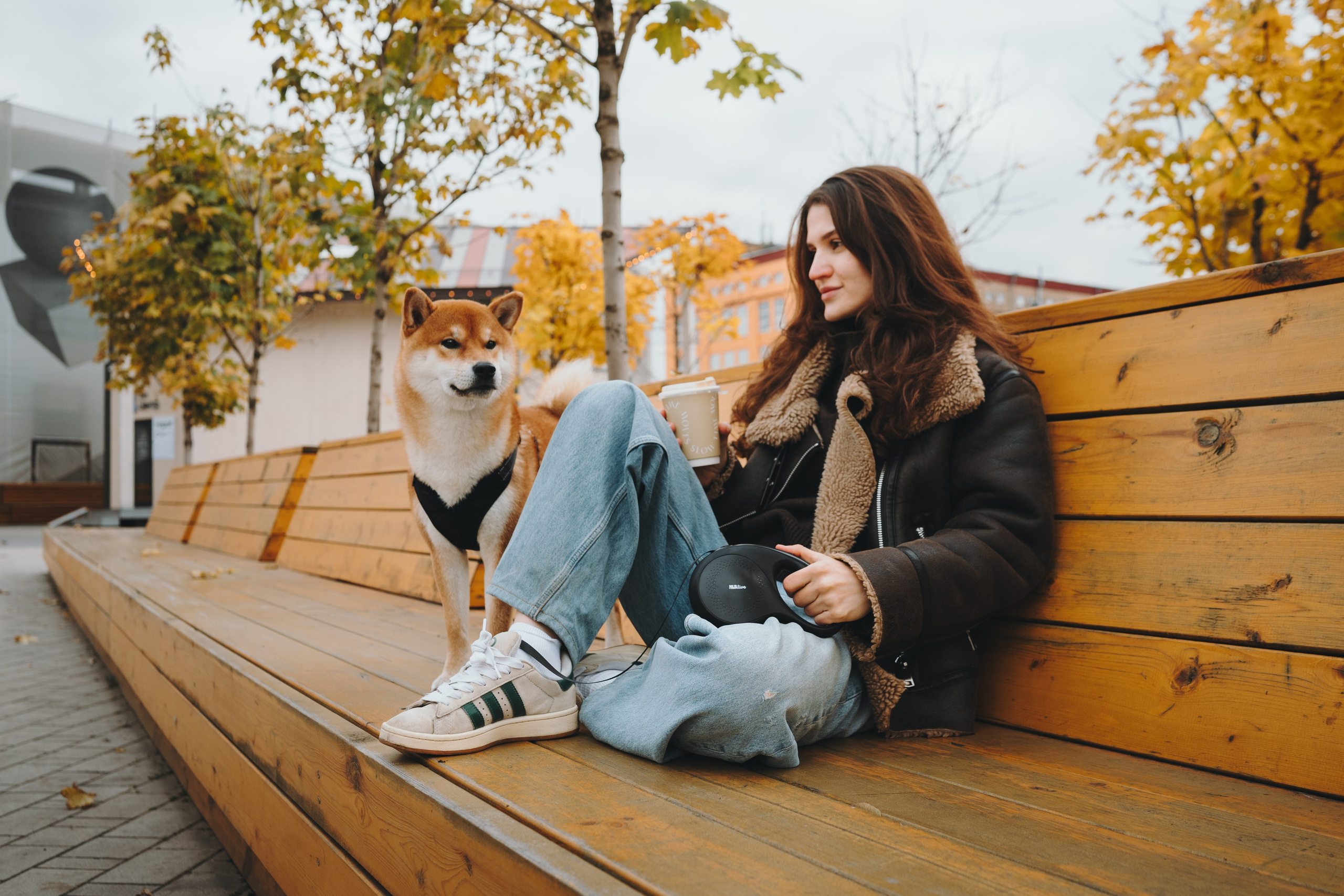 Pawsitive. Семейный фотограф анималист Ананьева Мария — Москва