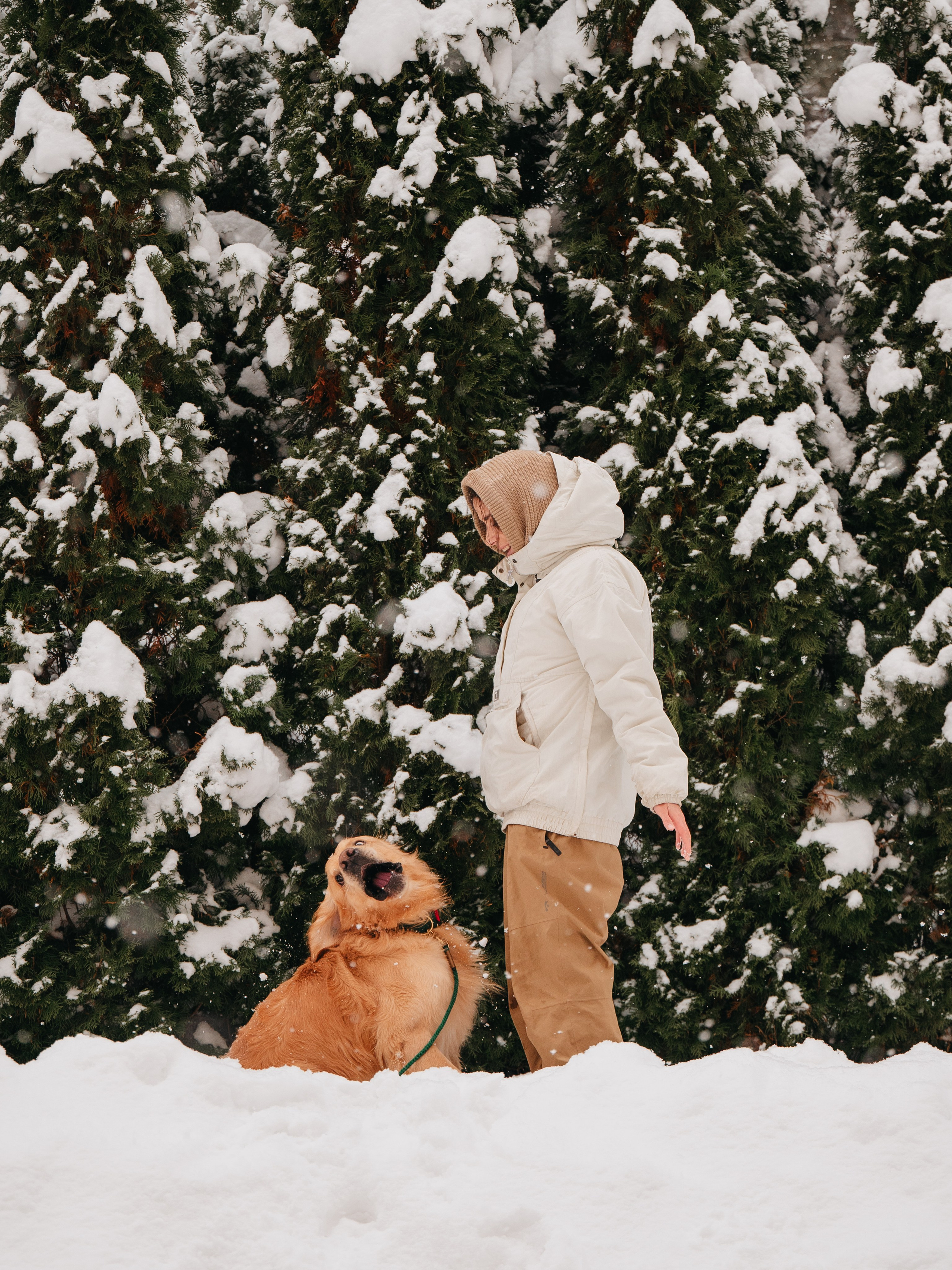 Bender&Frai. Зимняя коллекция. Семейный фотограф анималист Ананьева Мария — Москва