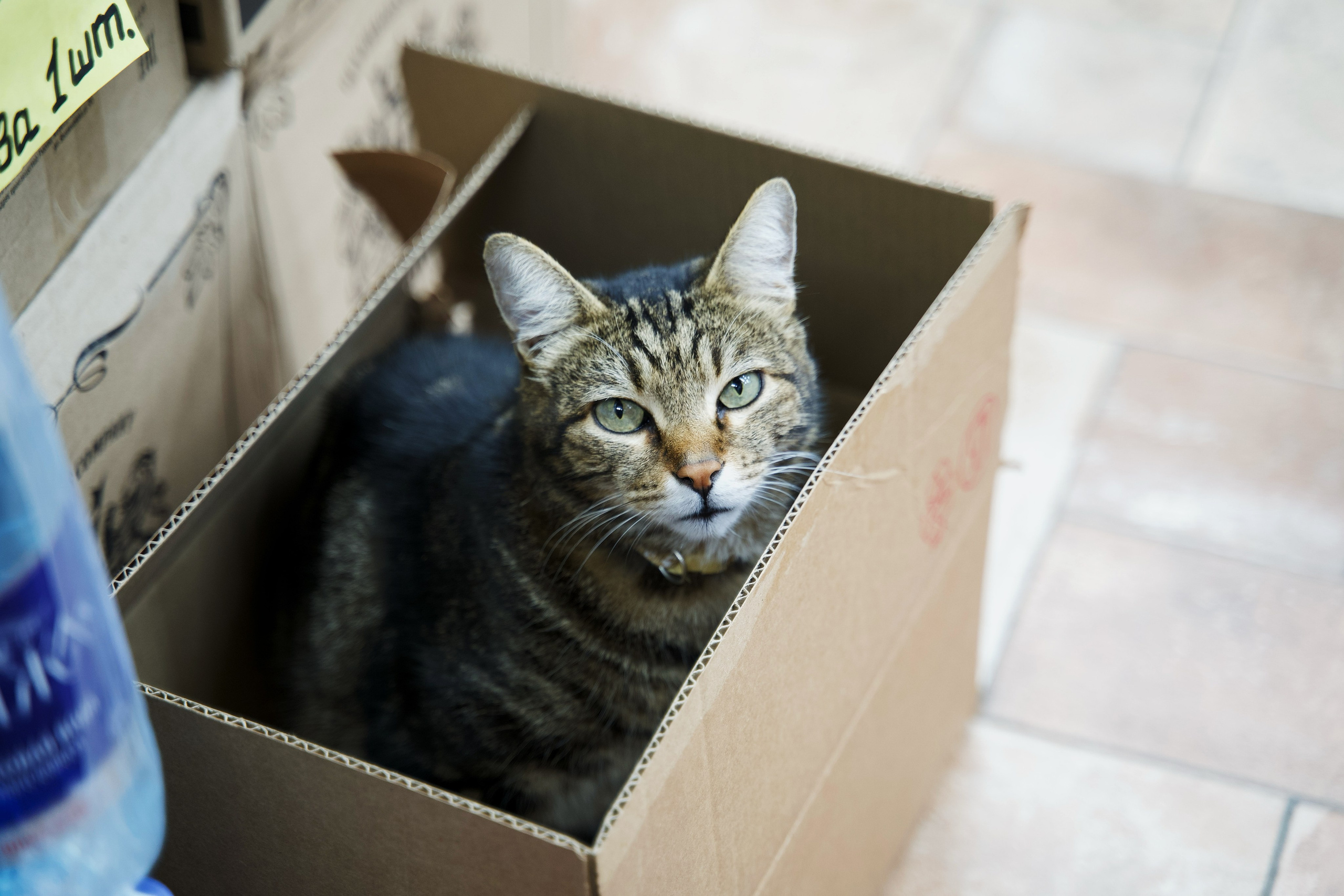 ПРИРОДА. Разноплановый фотограф из Москвы/Твери