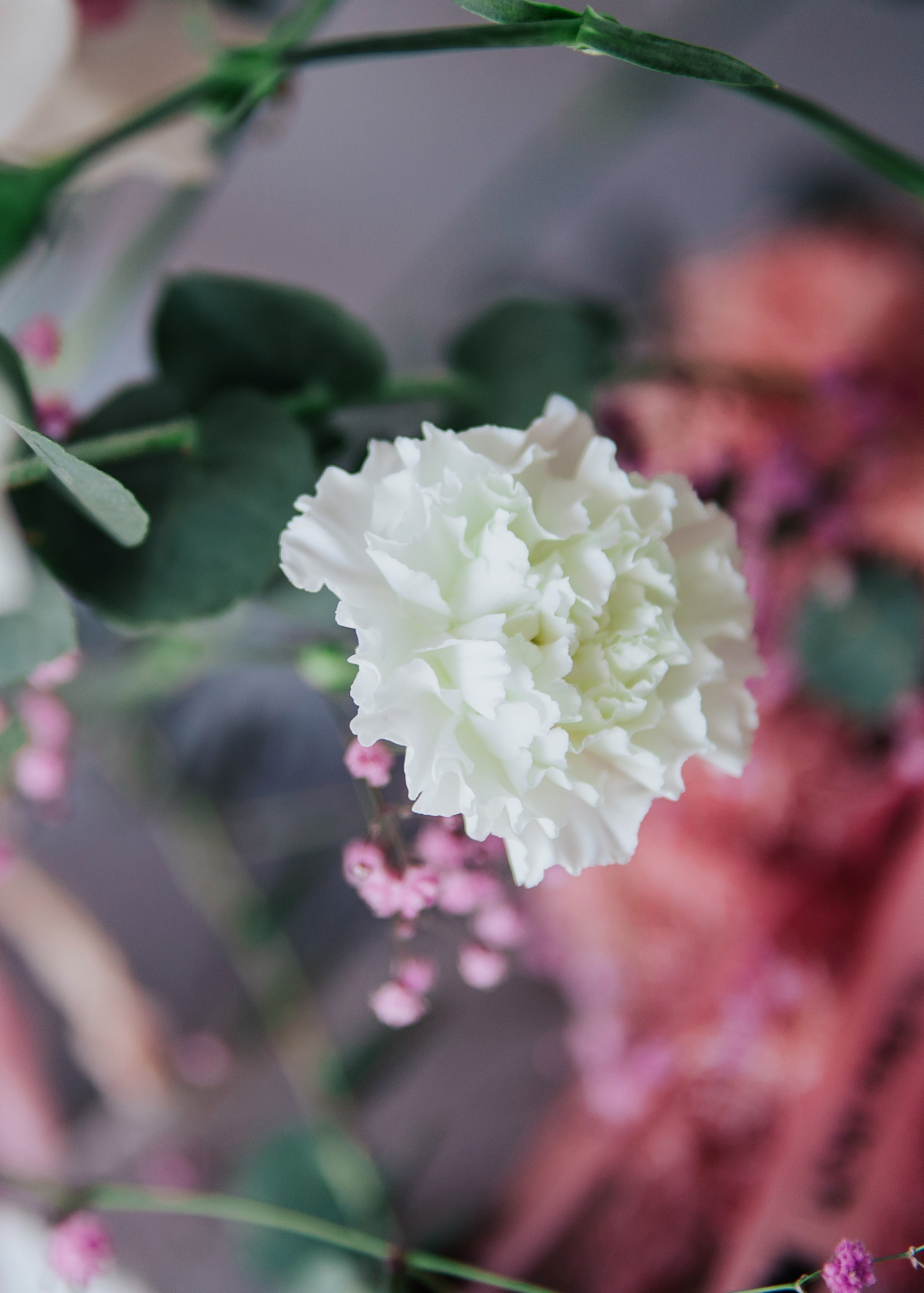 BRAVO — FLORA EVENT — PART II. СВОИ. ФОТООТЧЕТЫ-СОБЫТИЯ-МЕСТА