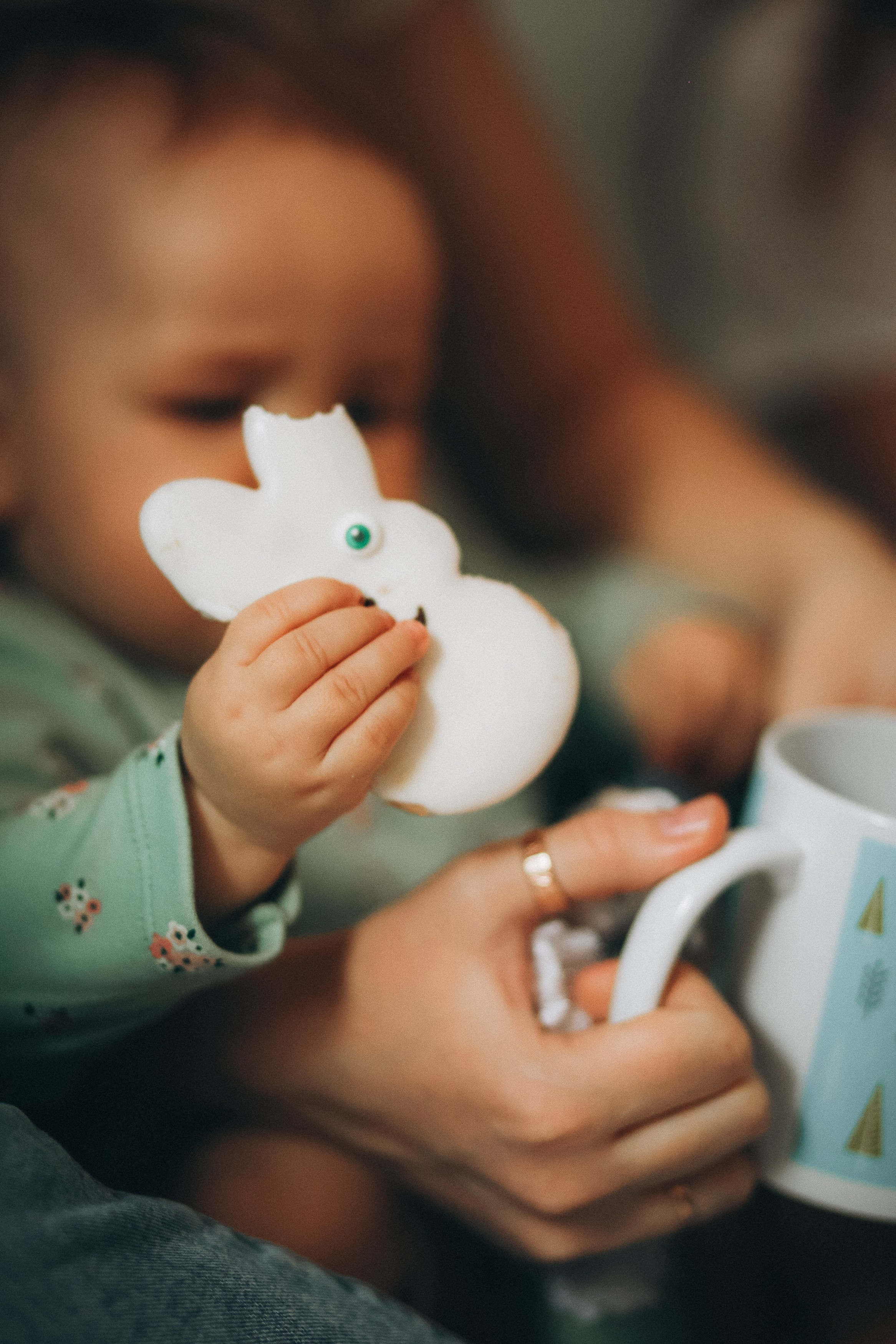 Дома тепло и уютно. Фотограф Владимир Москва