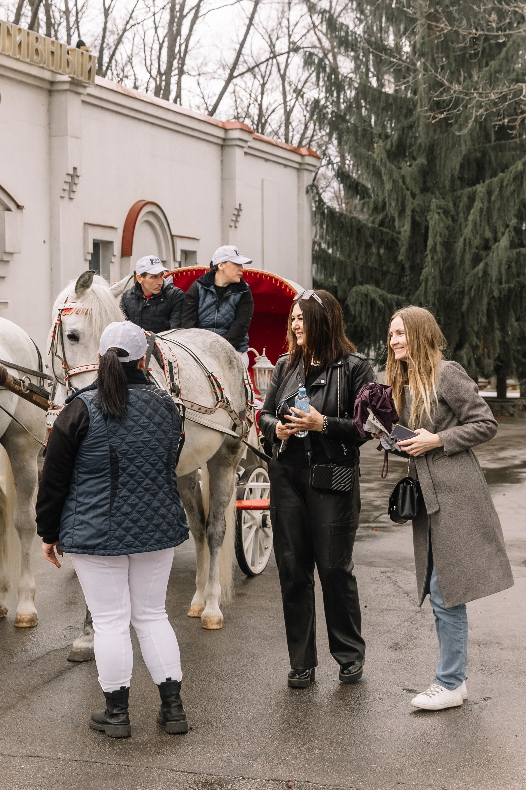 День Орловского рысака. Парк-отель Яр. Свадебный, репортажный фотограф Ирина Шкурина