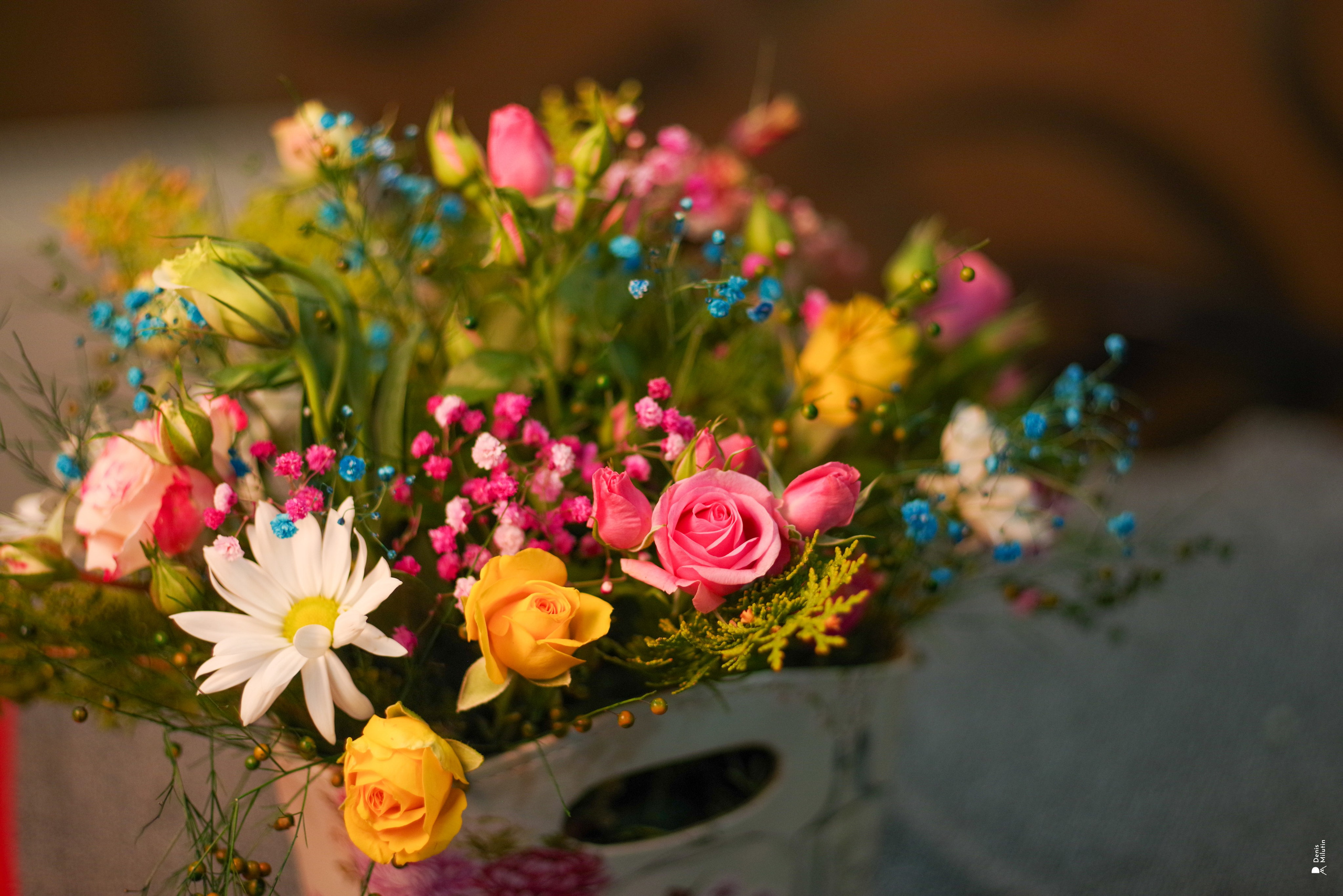 Салон цветов. Портретный фотограф Денис Милютин