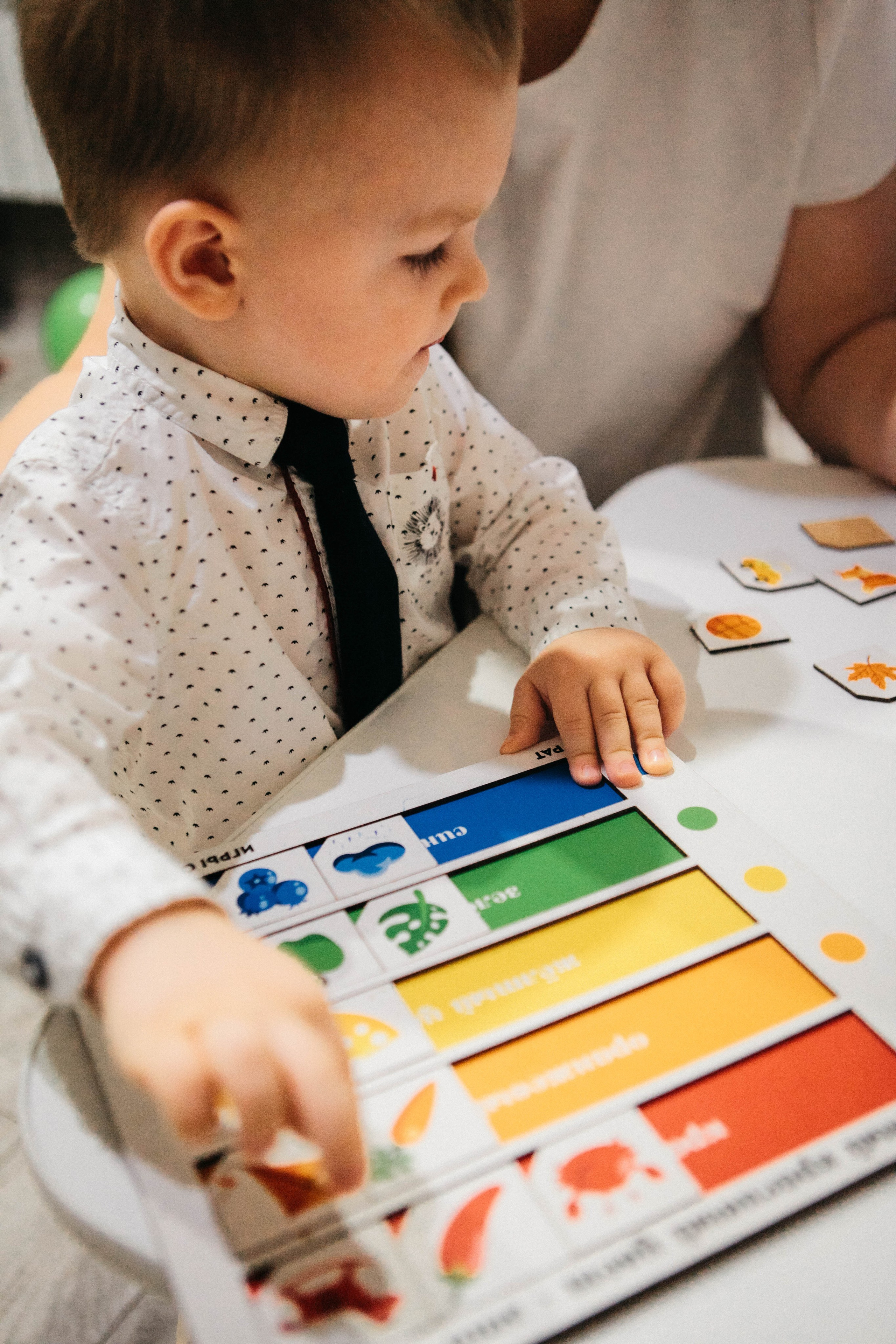 Лев. Фотограф Ольга Крукле