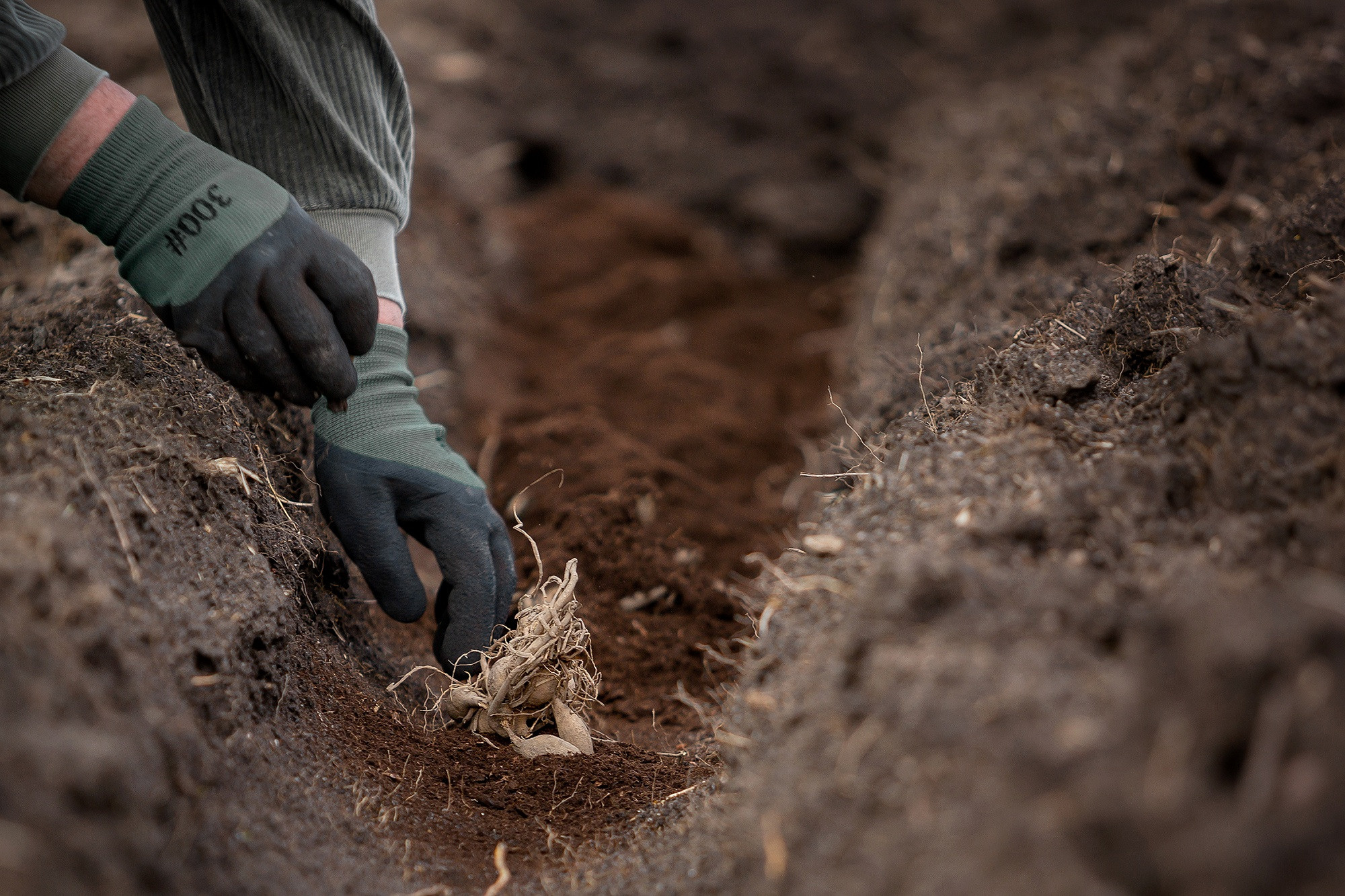 На ферме. Отбасылық фотограф Алена Шаталова