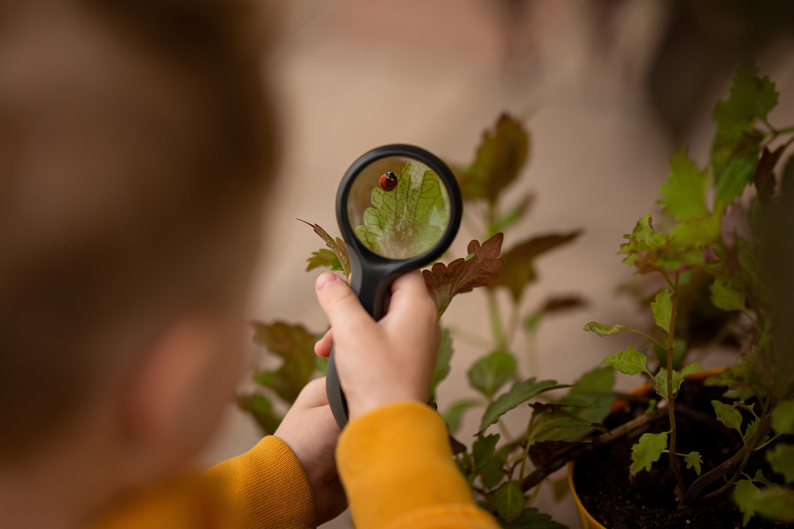 Первые исследования. Отбасылық фотограф Алена Шаталова