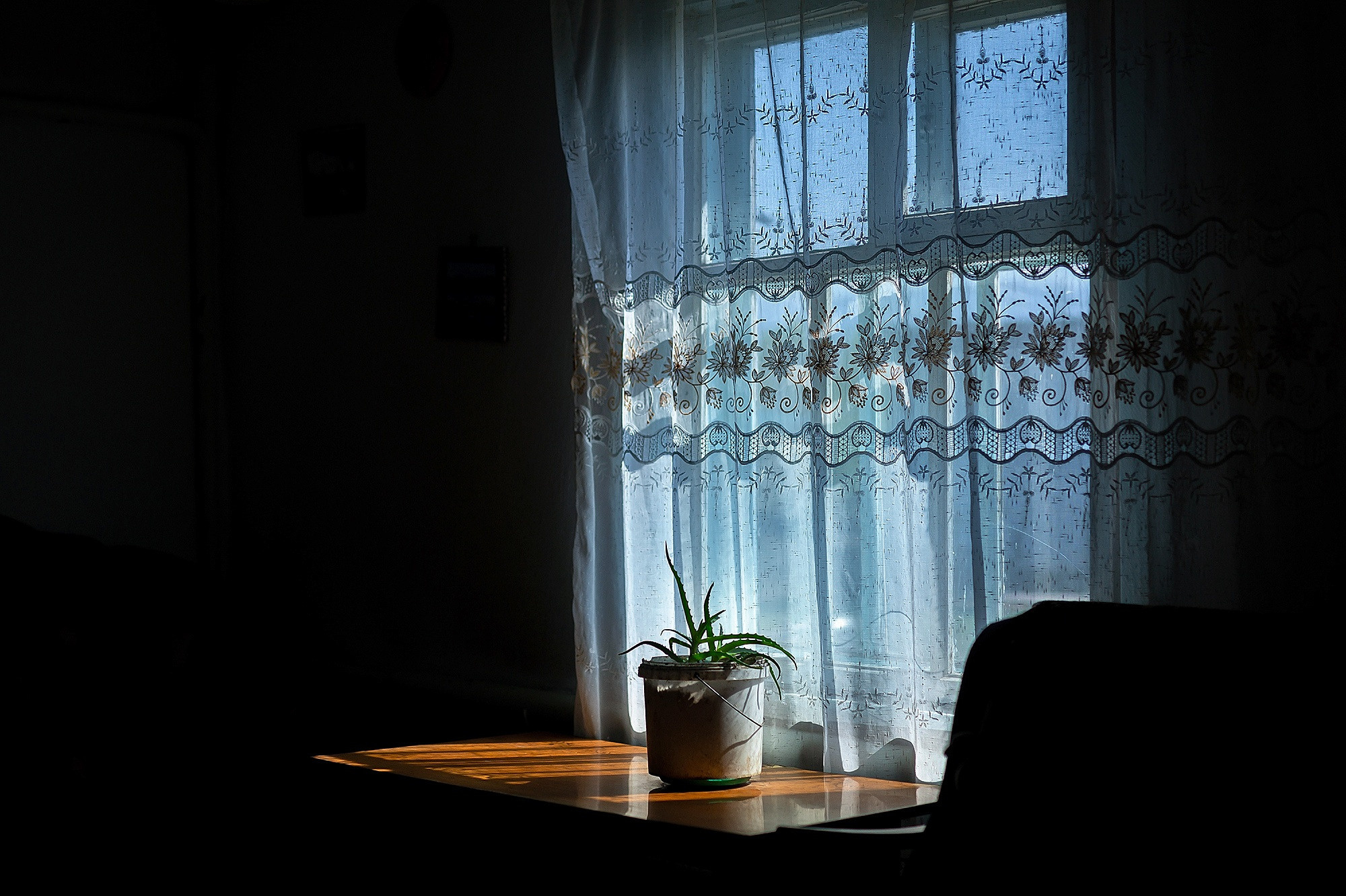 Одиночество. Отбасылық фотограф Алена Шаталова