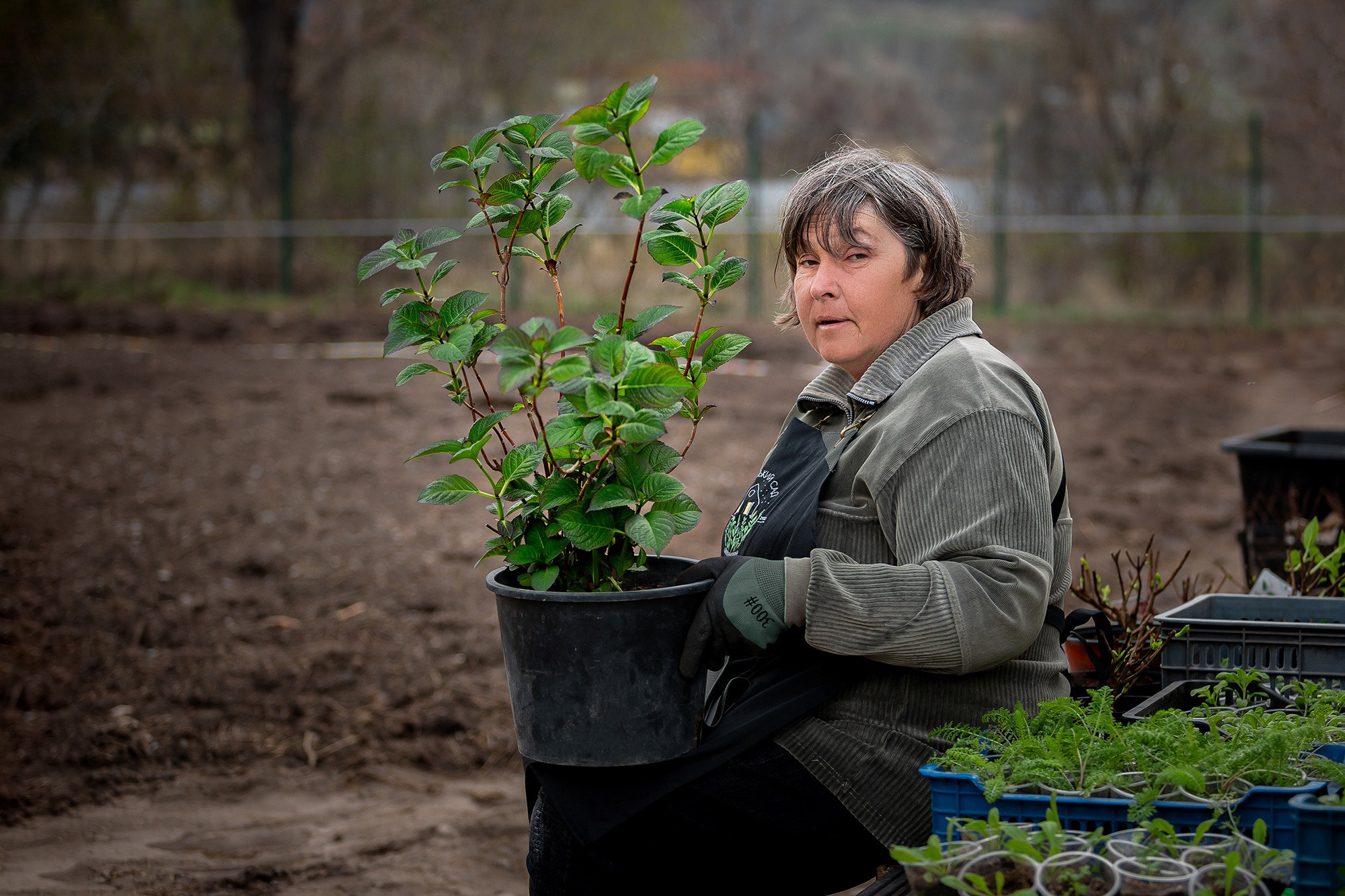 На ферме. Отбасылық фотограф Алена Шаталова