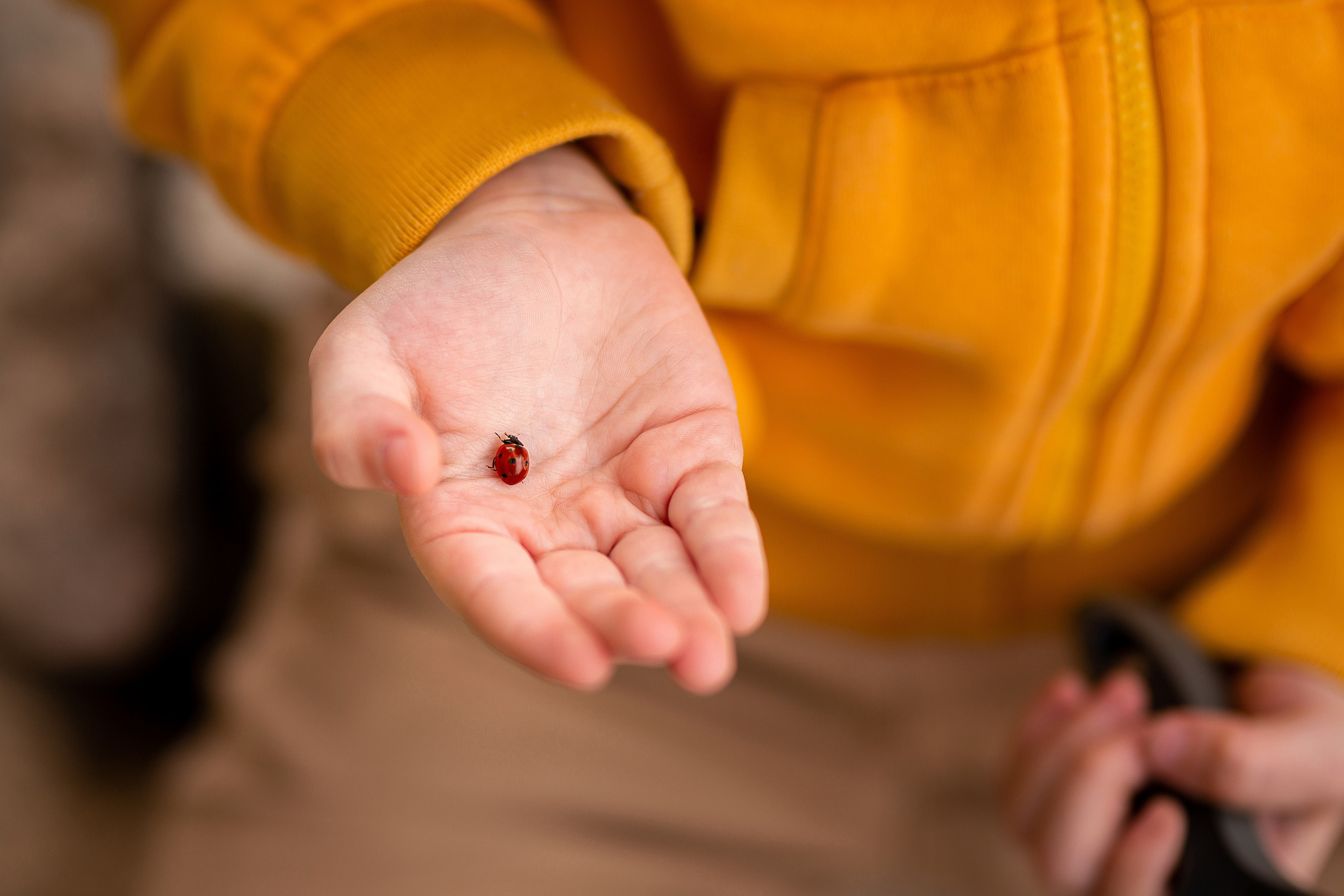 Первые исследования. Отбасылық фотограф Алена Шаталова