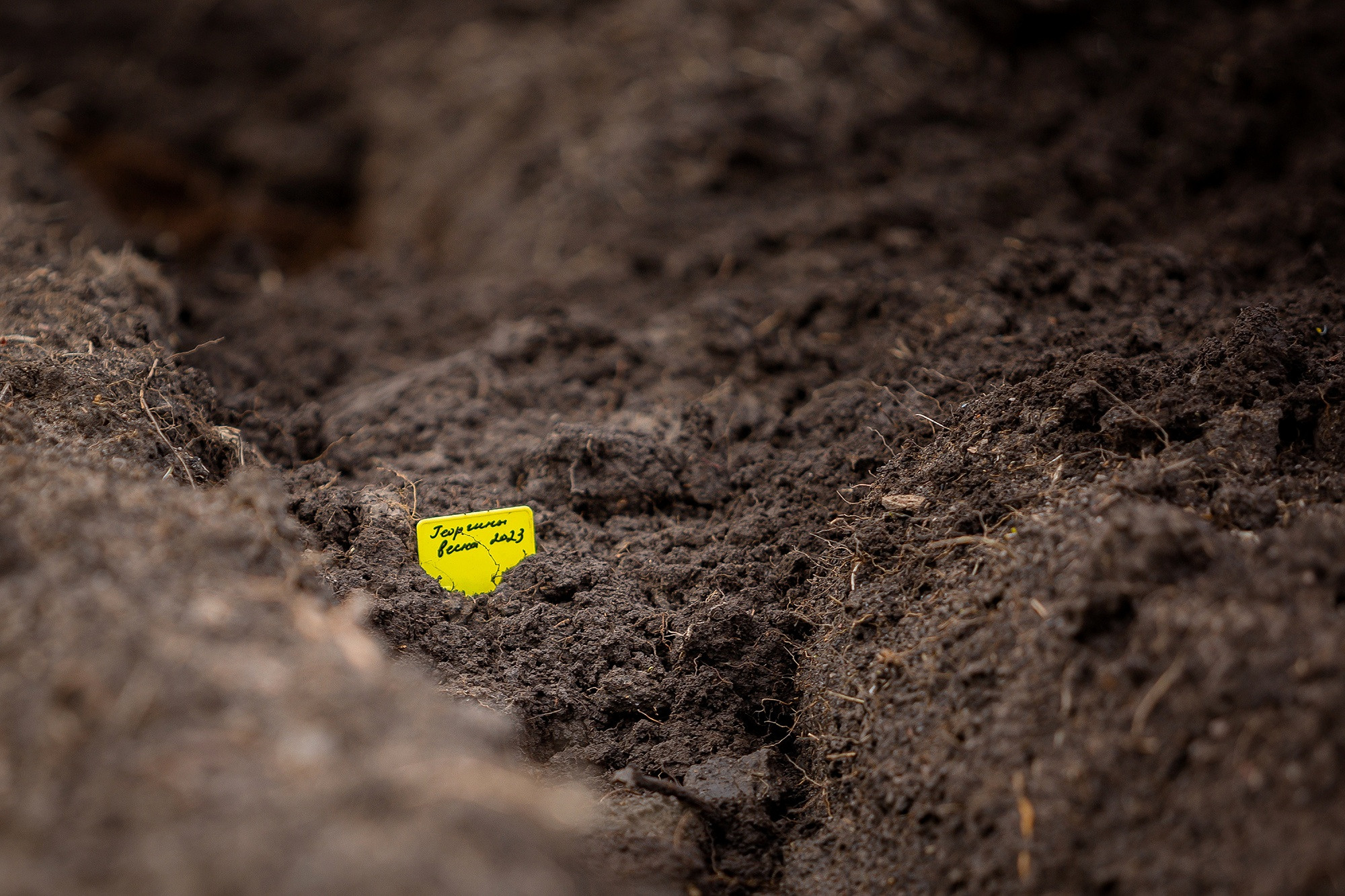 На ферме. Отбасылық фотограф Алена Шаталова