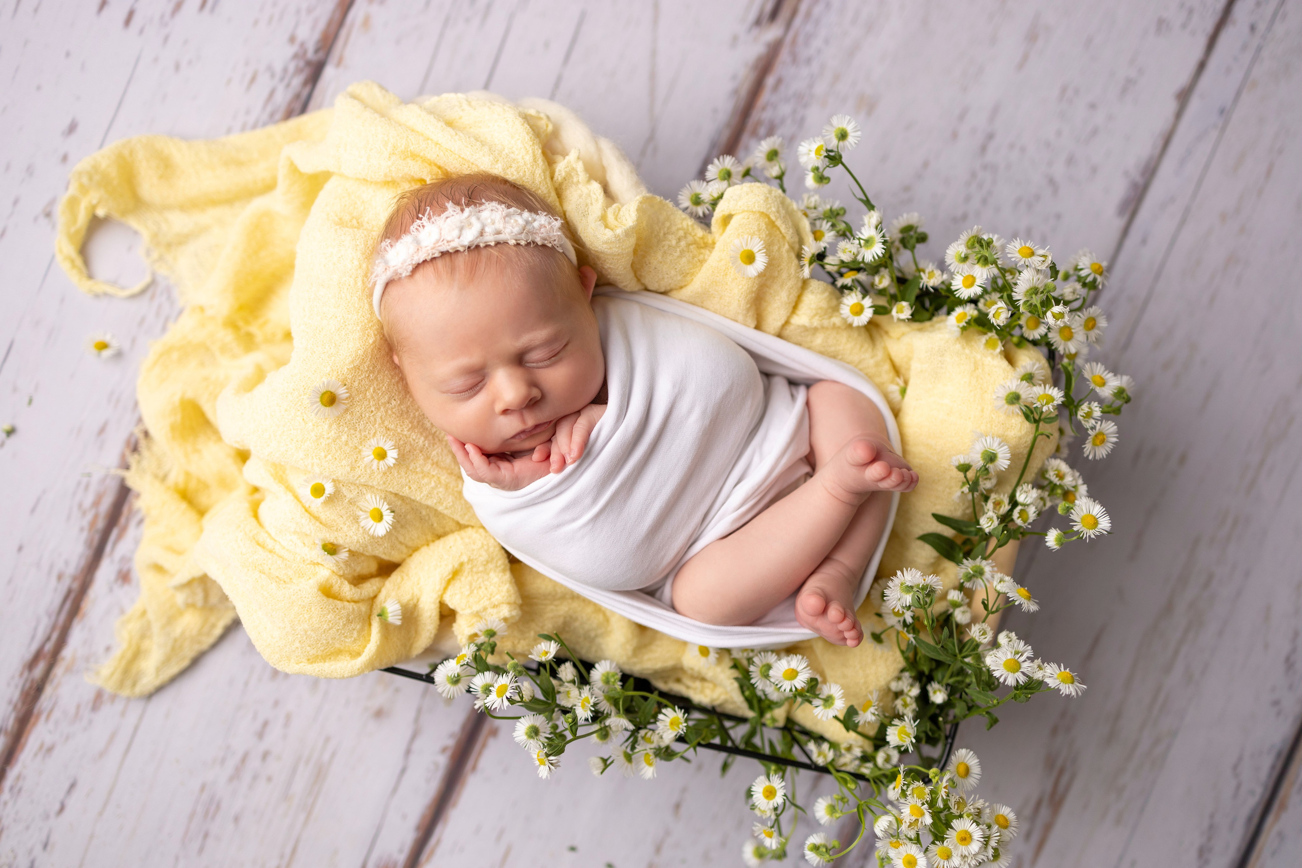 Смиричевская Екатерина — фотограф новорожденных