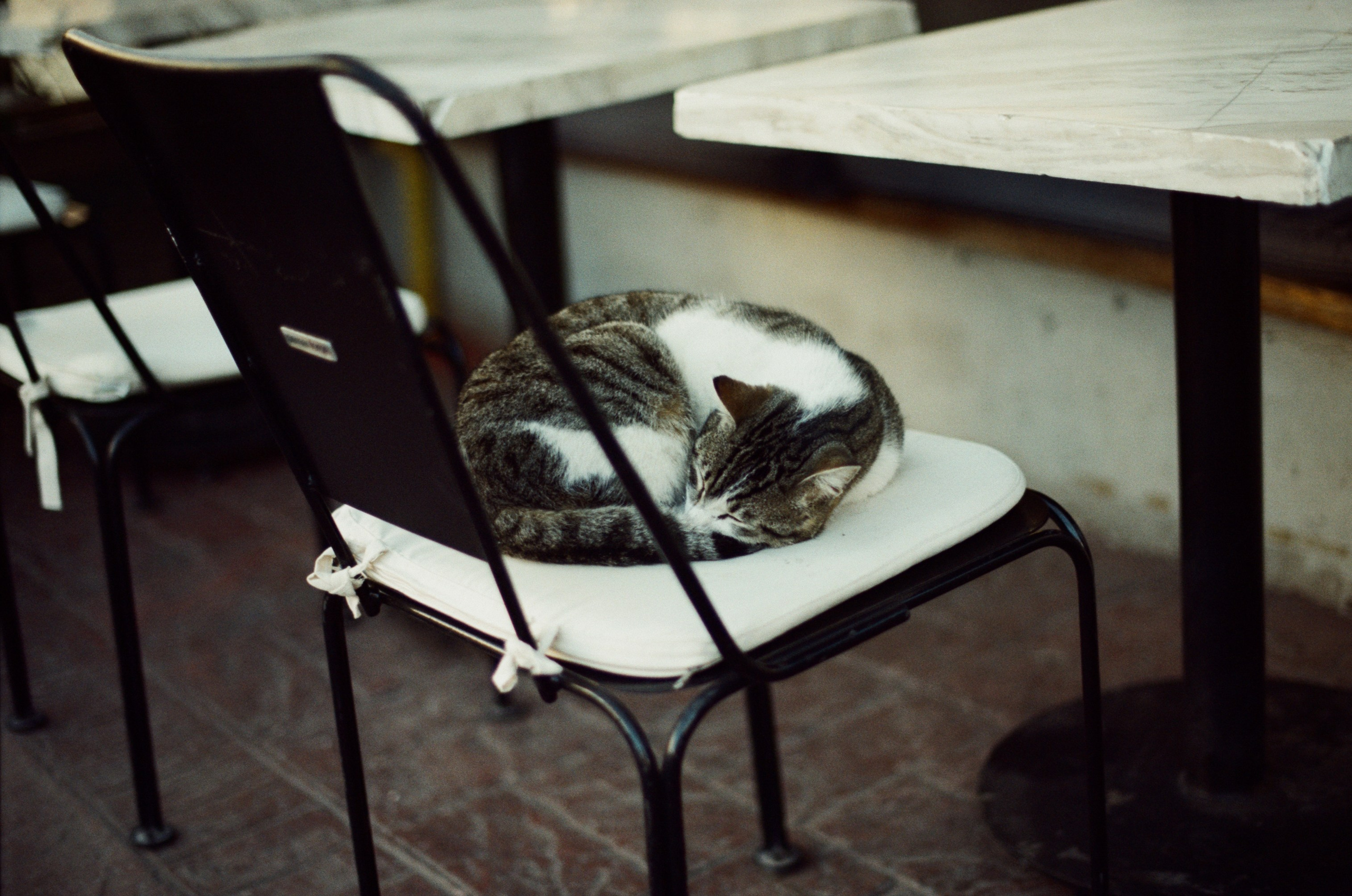 Complicated // turkey, istanbul II. EVER EXPOSED