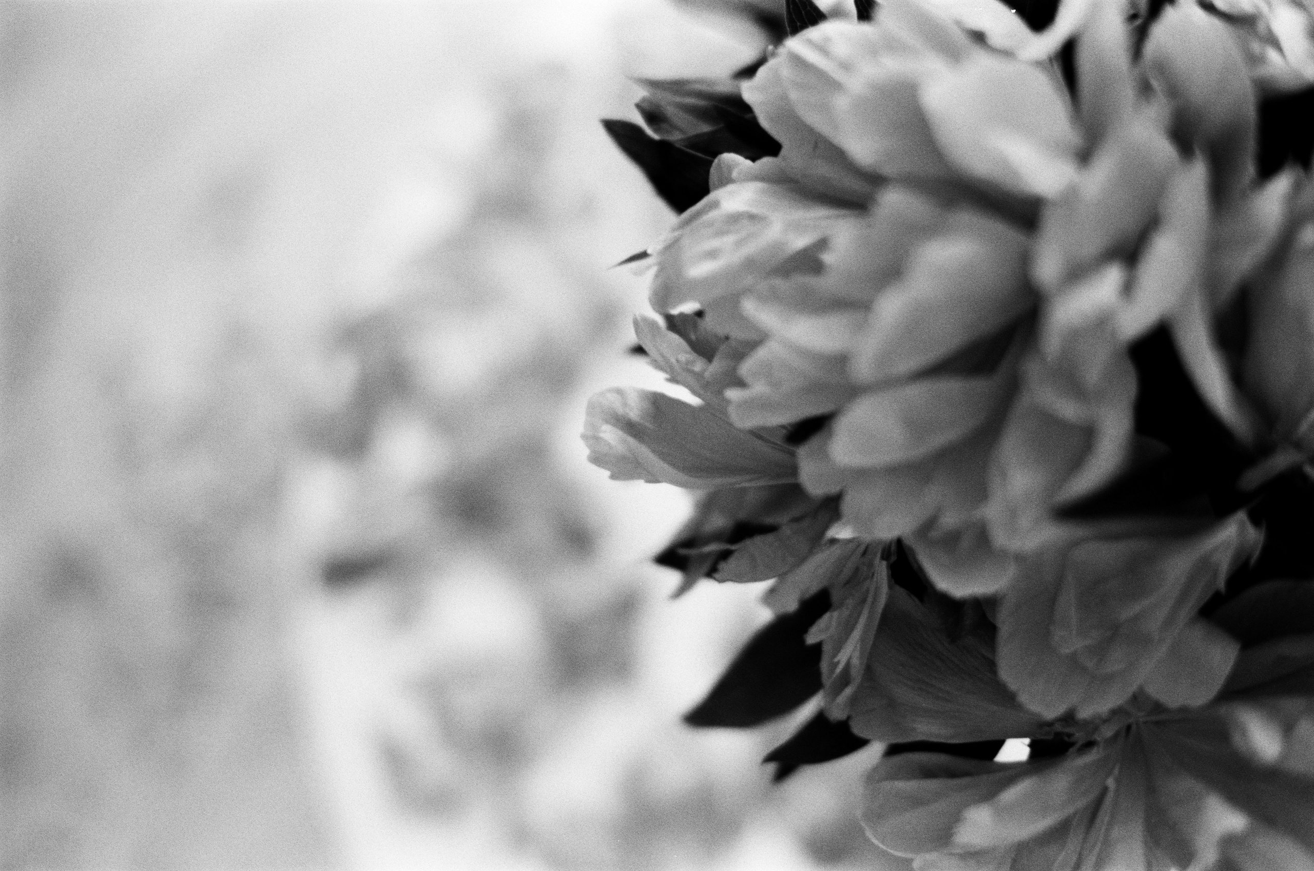 Sparks // ukraine, crimea. EVER EXPOSED