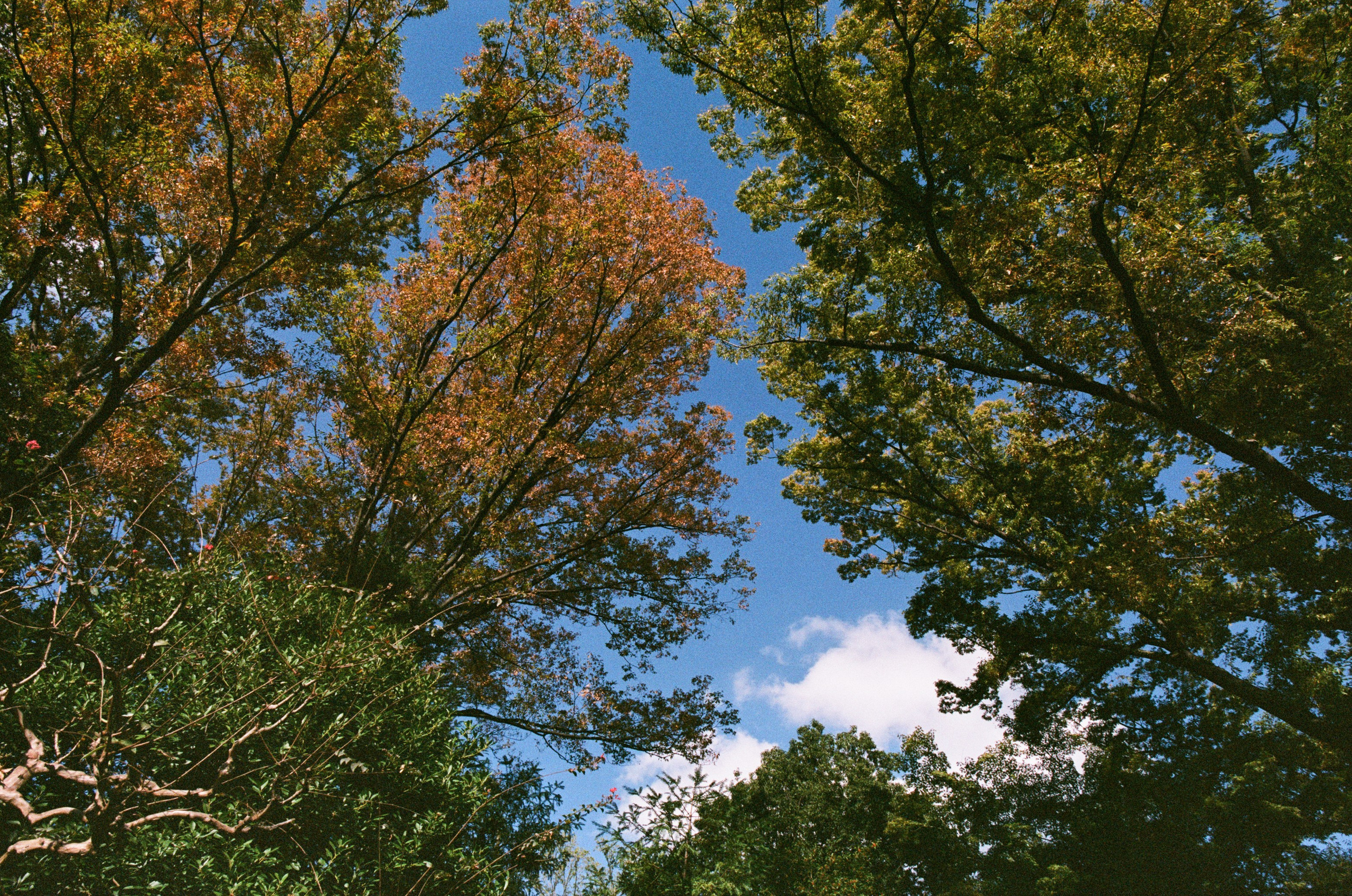 Out of noise // japan, tokyo II. EVER EXPOSED
