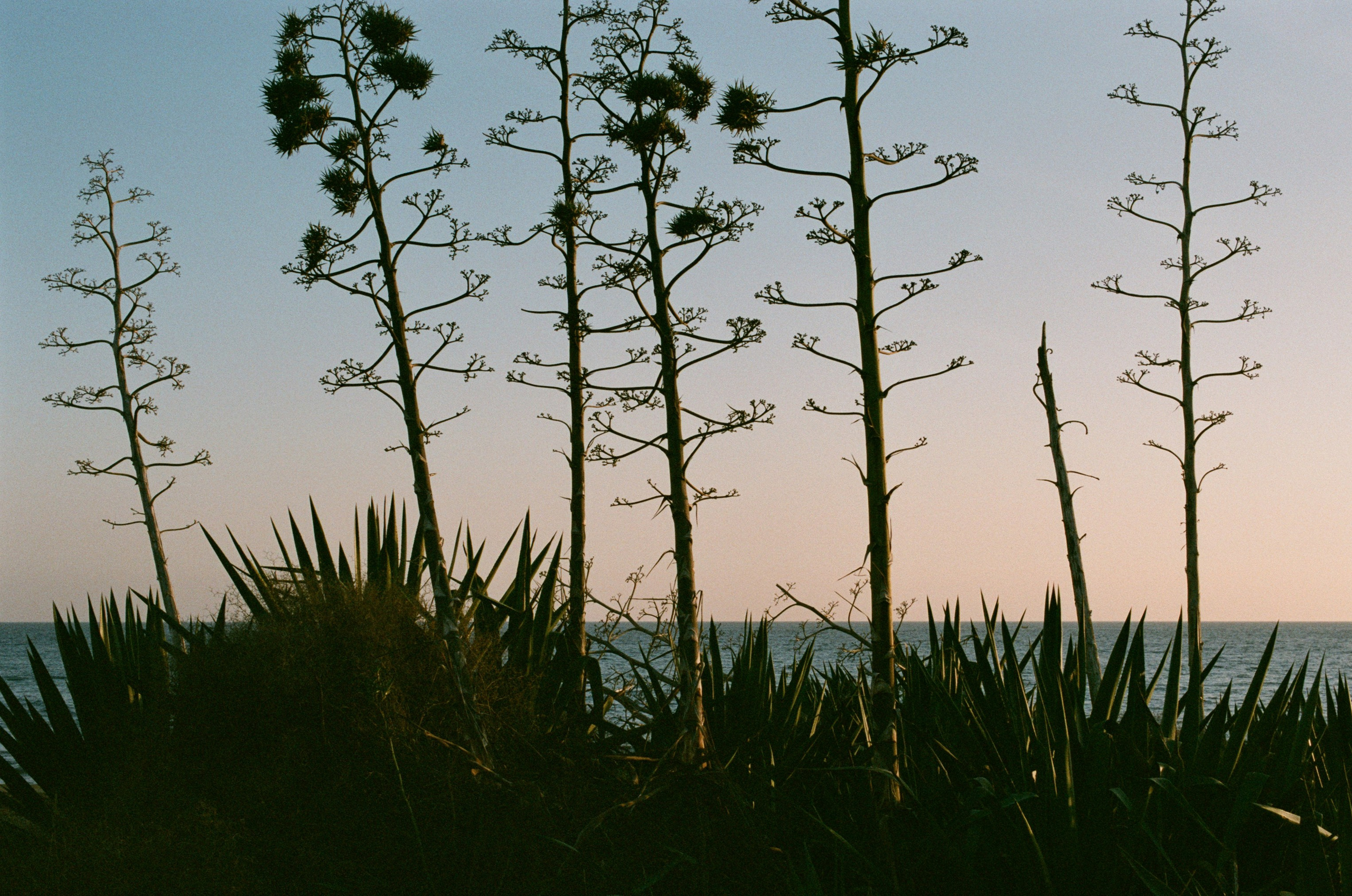 Spanish sahara // spain, cabo de gata II. EVER EXPOSED